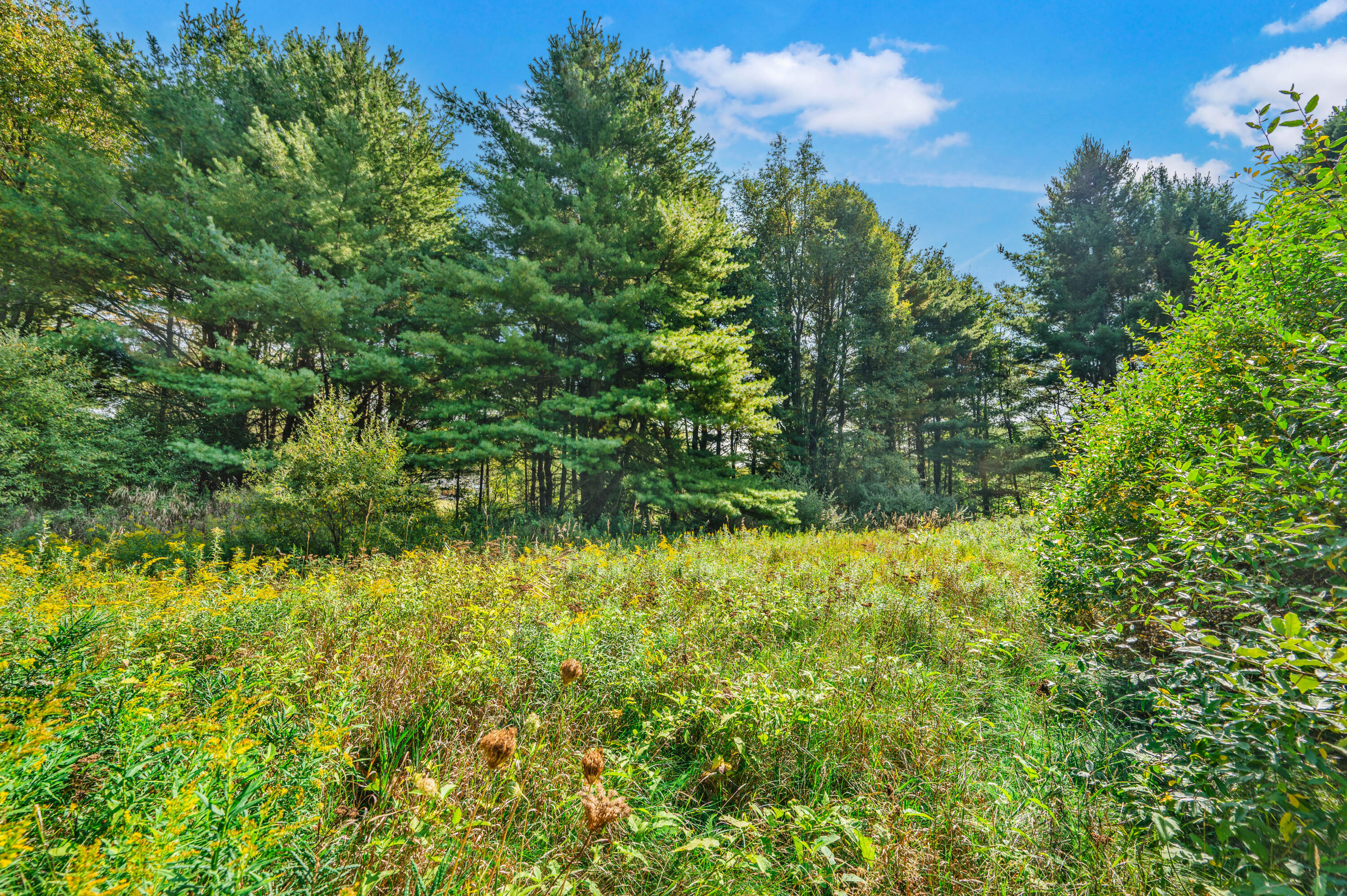 Lot 15 Executive Dr Property Photo 8