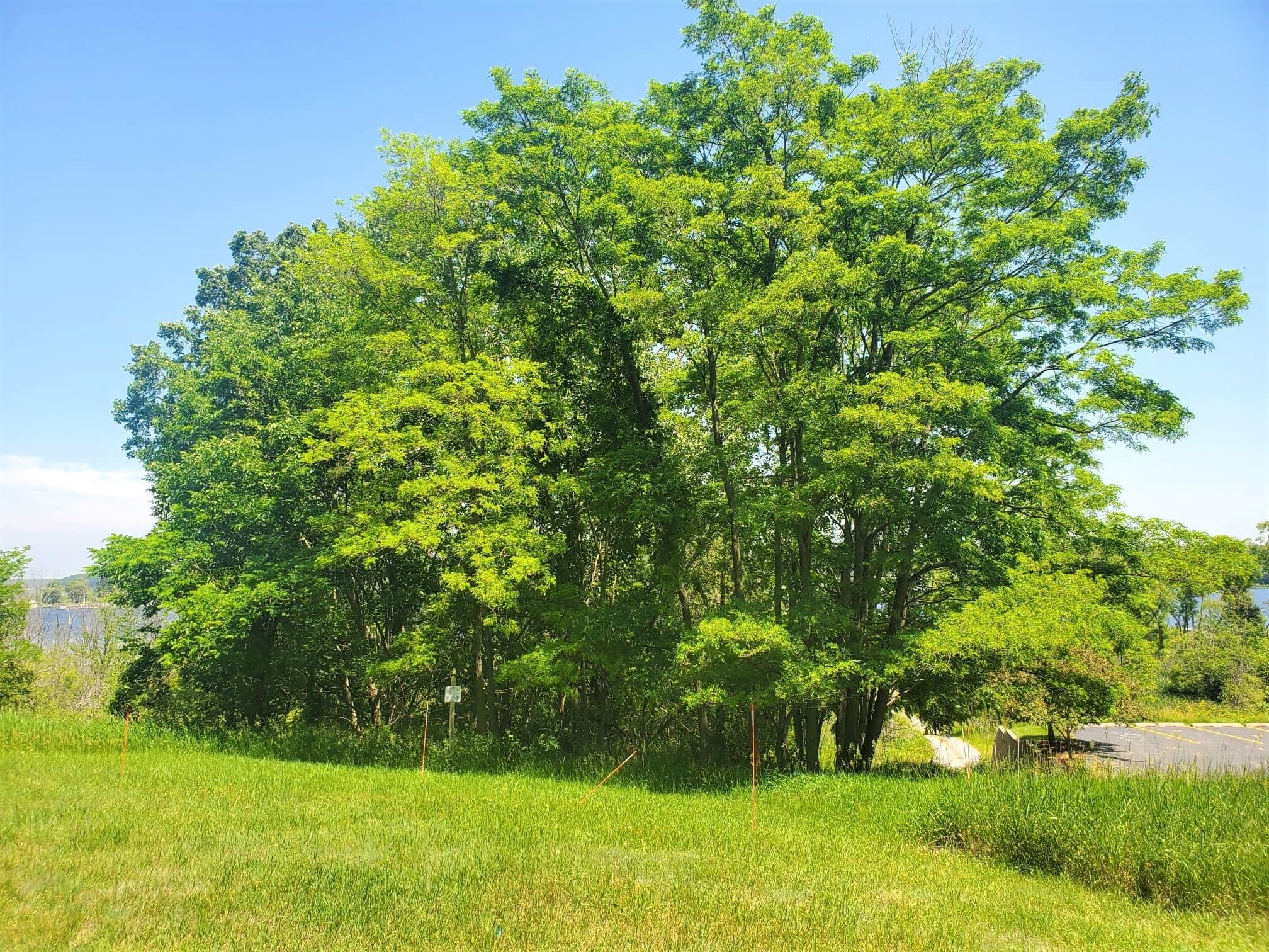 Lot 3 Old Channel Trail Property Photo 1