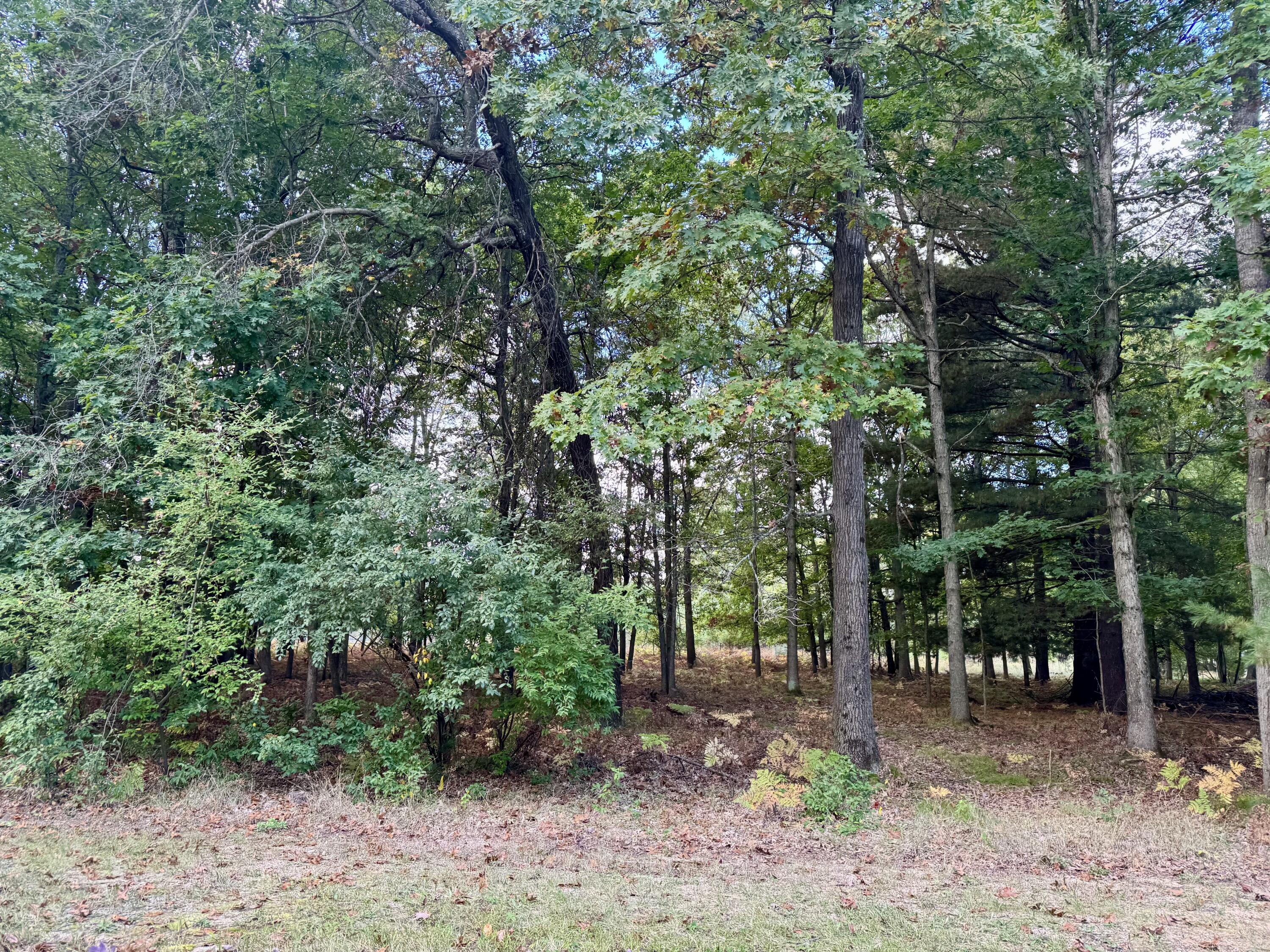 6485 Dunhill Drive Property Photo 3