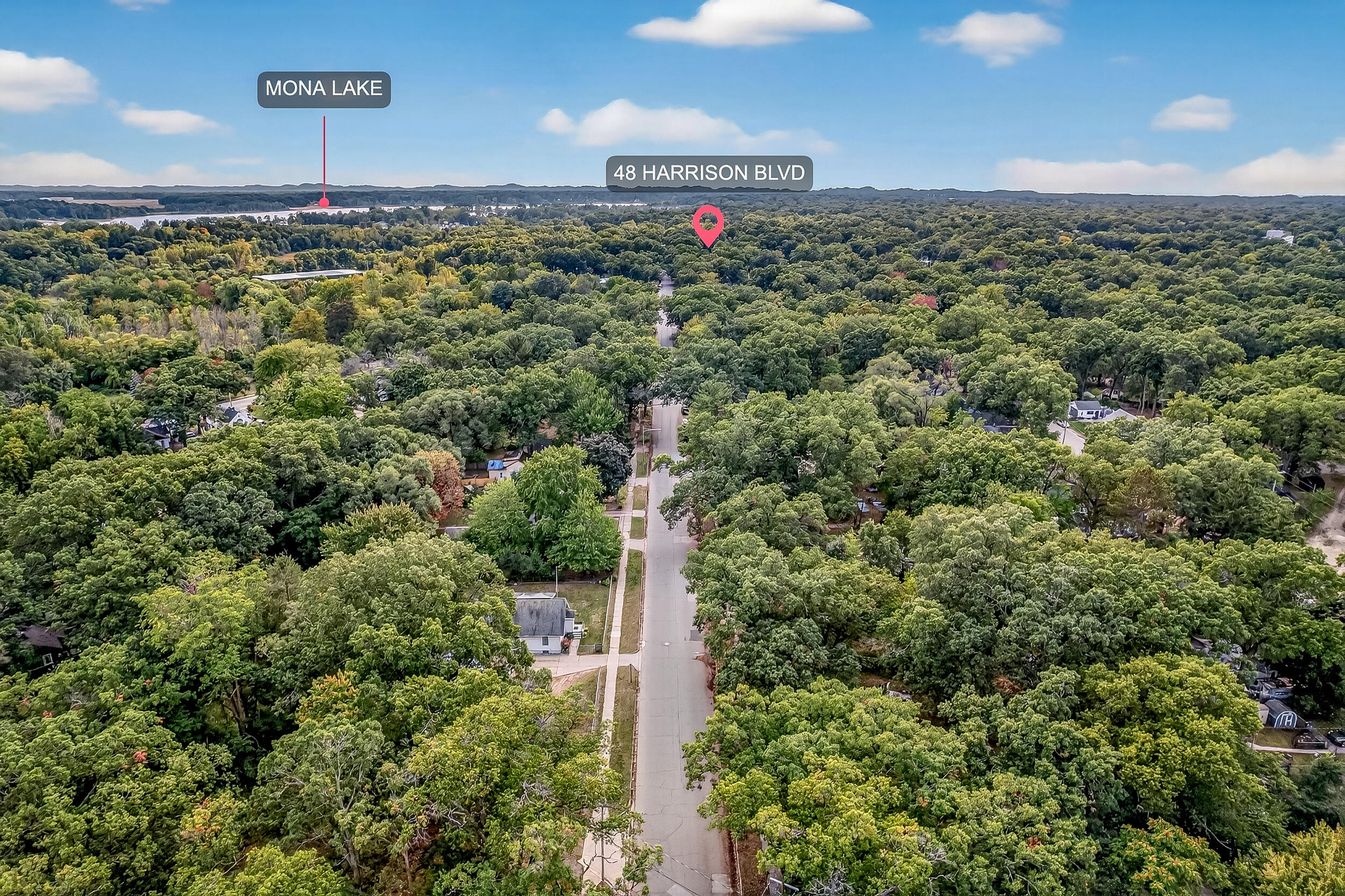 48 Harrison Boulevard Property Photo 2