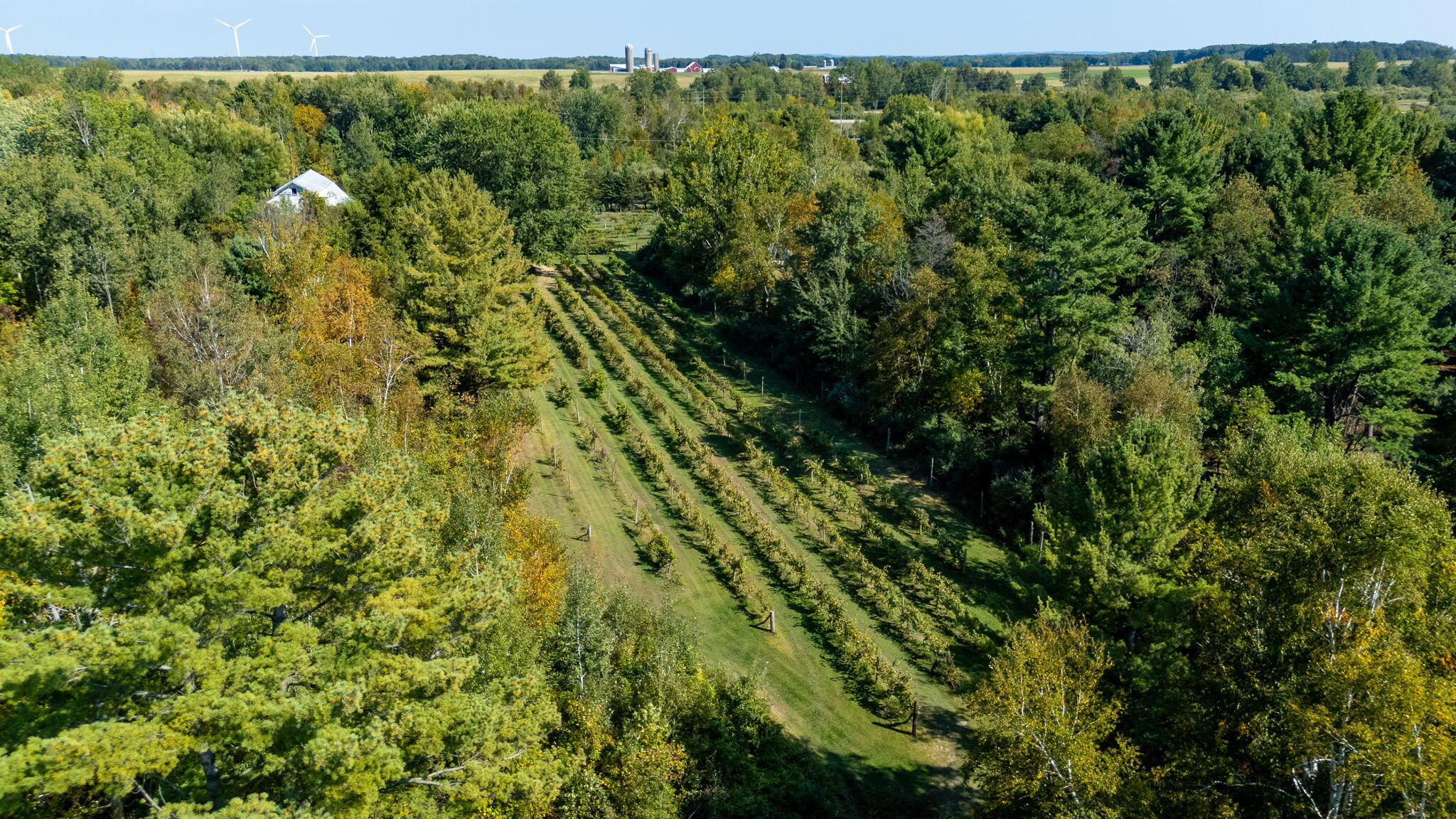 7397 S Pere Marquette Highway Property Photo 10
