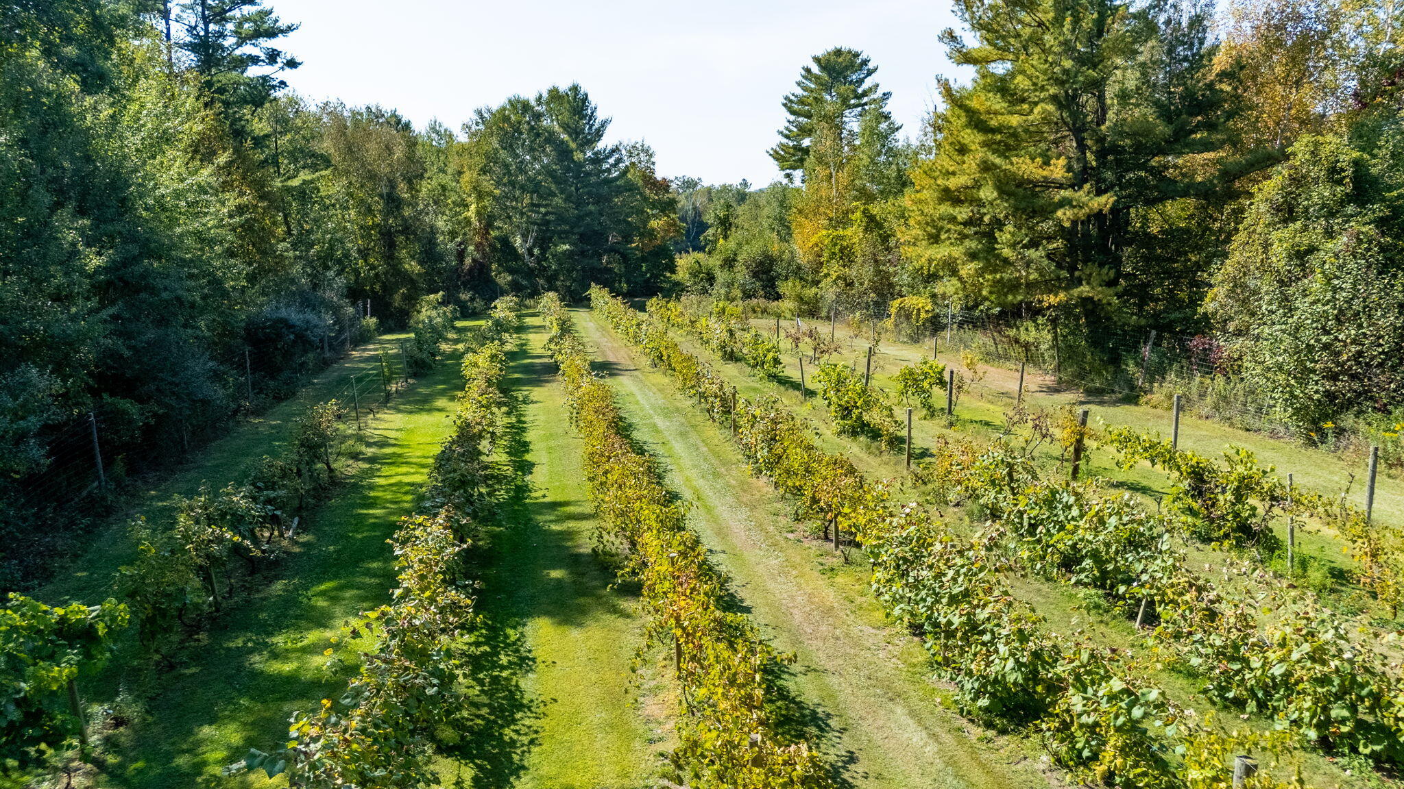 7397 S Pere Marquette Highway Property Photo 11