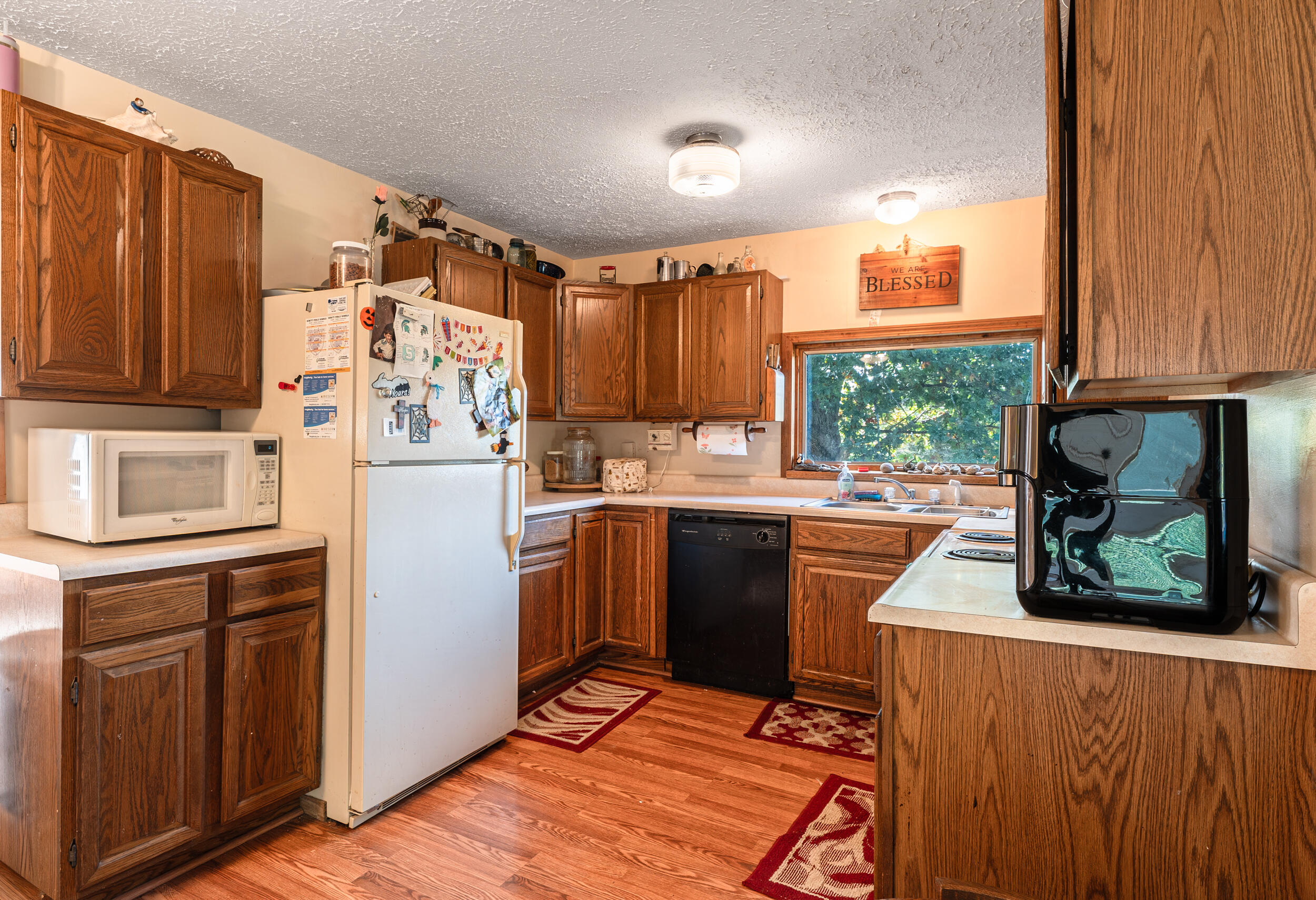 19419 Bullhead Lake Drive Property Photo 6