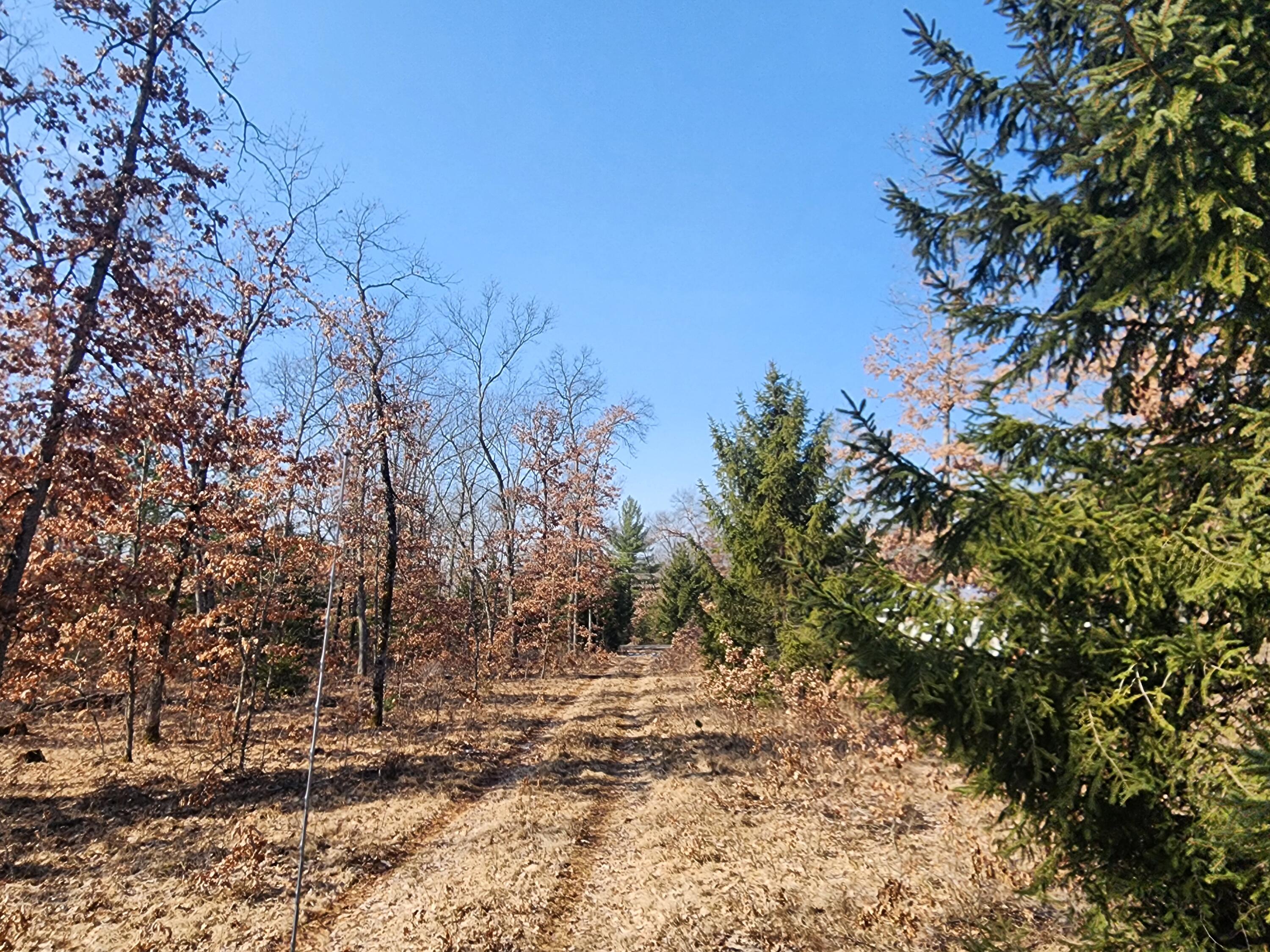 Lot B Jeffers Street Property Photo 3