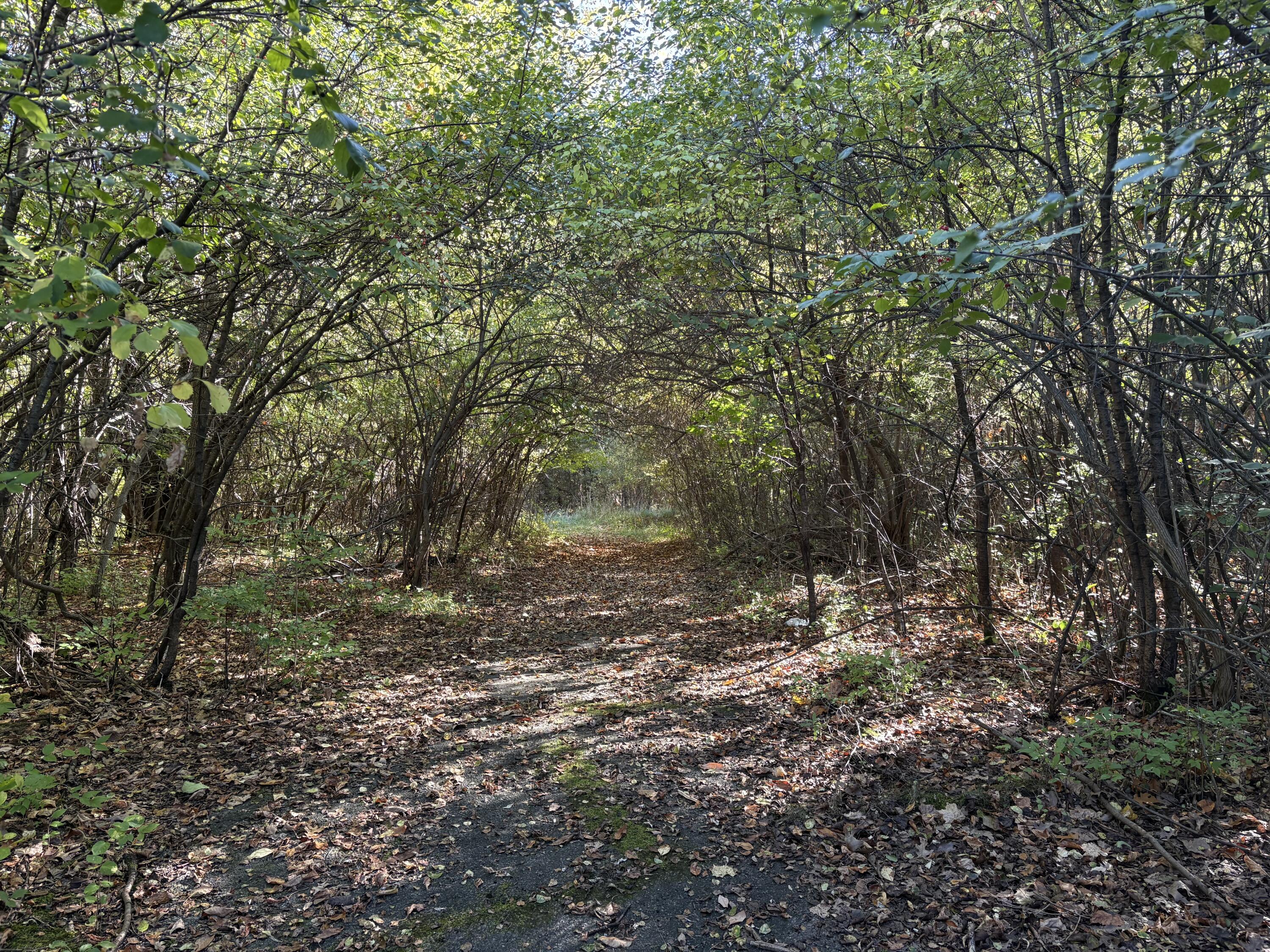 Vl 69 Clinton Way Property Photo 1
