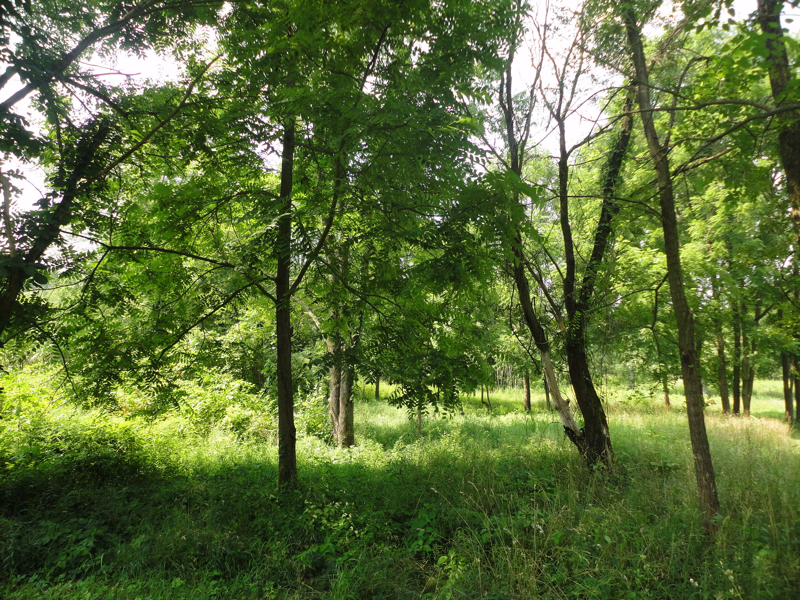 Parcel B Cr 215 Property Photo 1