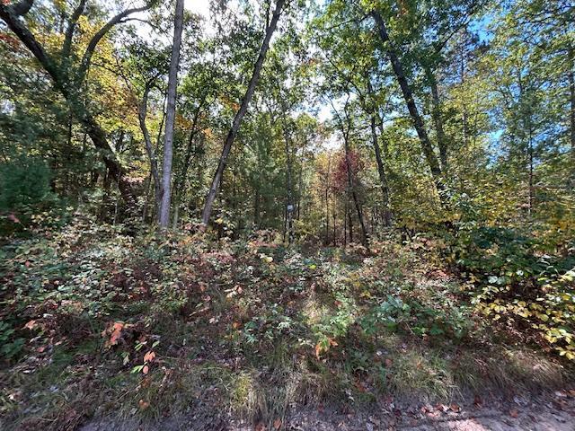 V/l W Meinert Road Property Photo 2