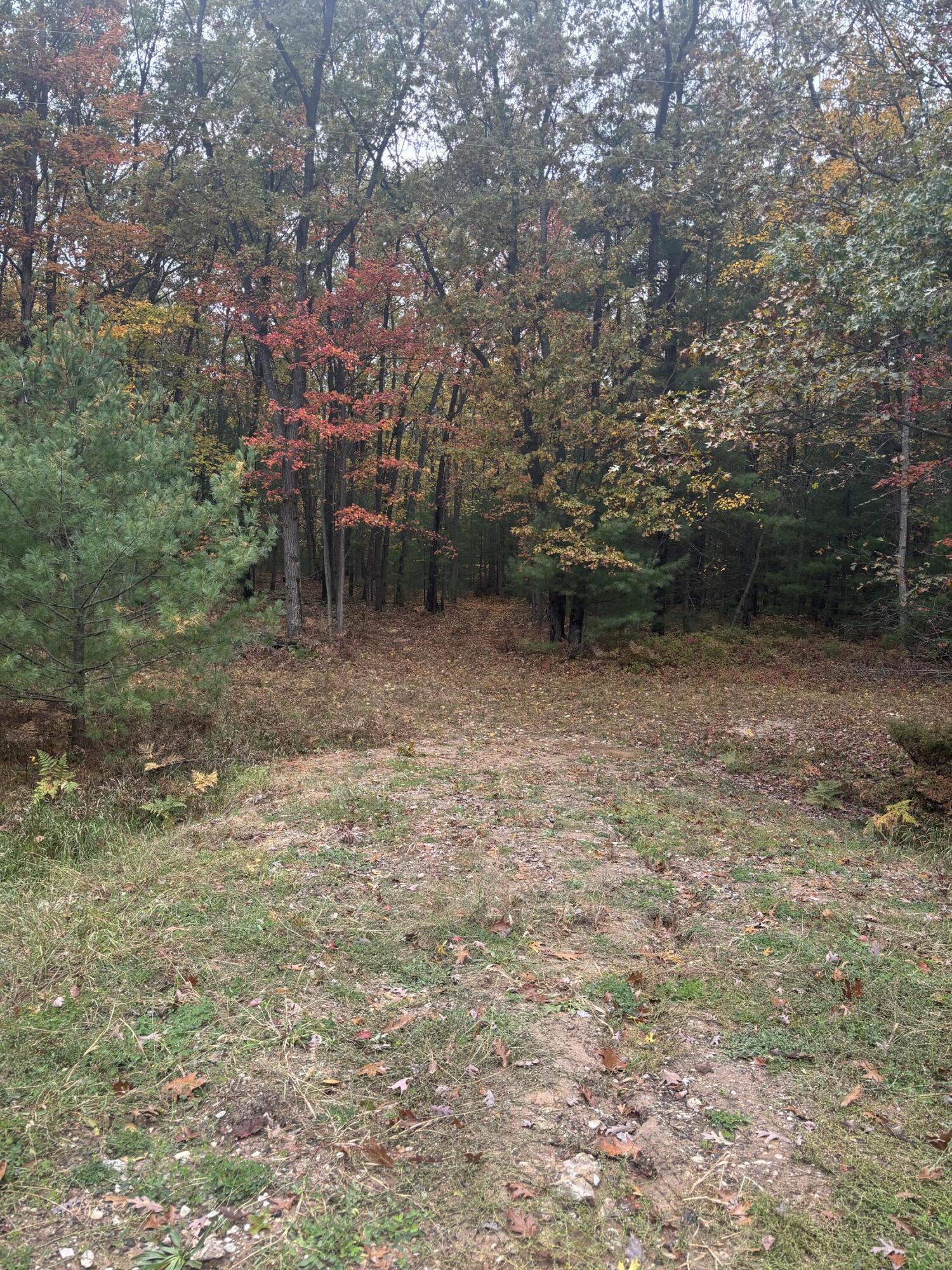 V/l Maple Road Property Photo 3