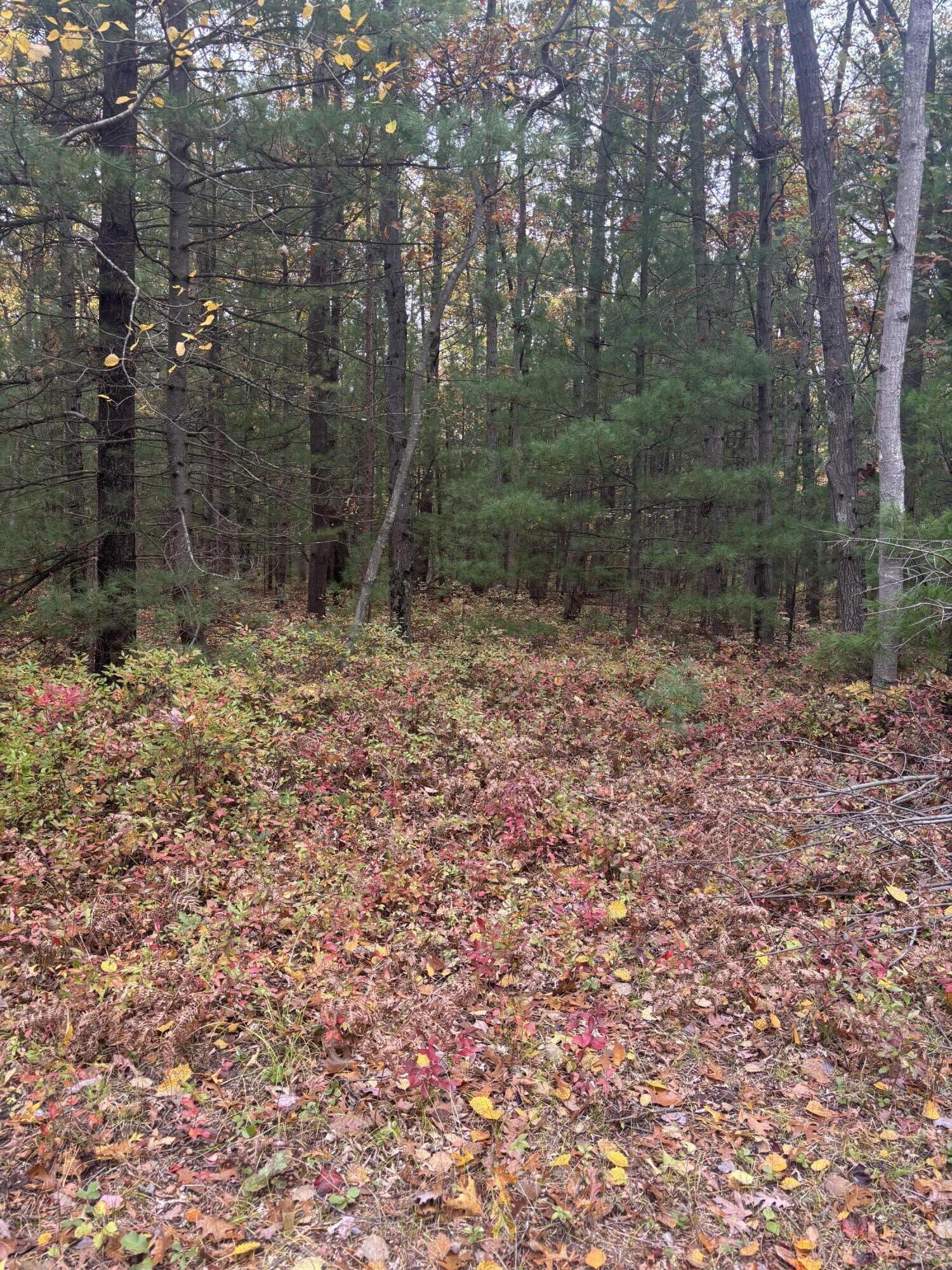 V/l Maple Road Property Photo 5