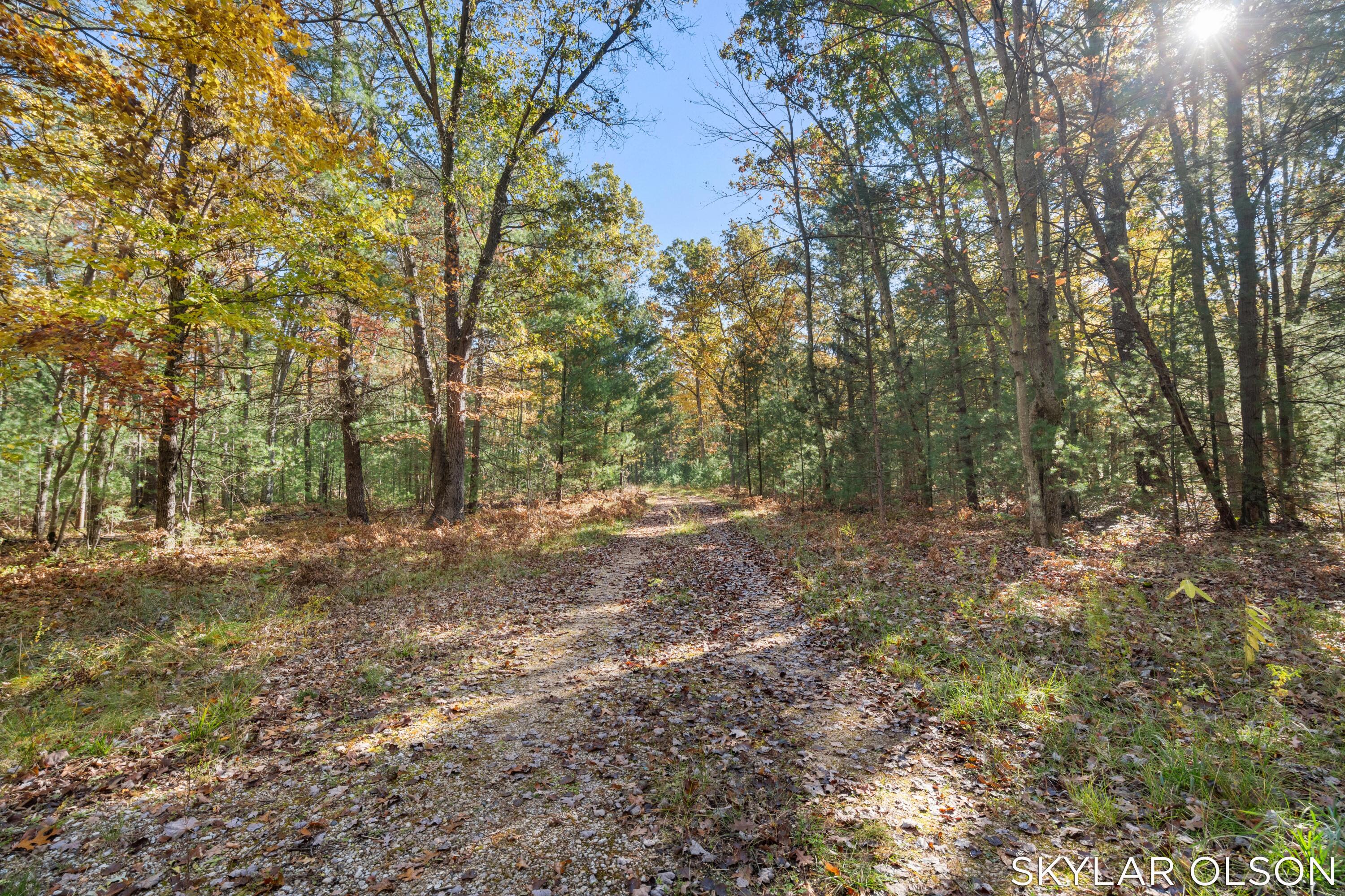 10711 N Tuttle Road Property Photo 44