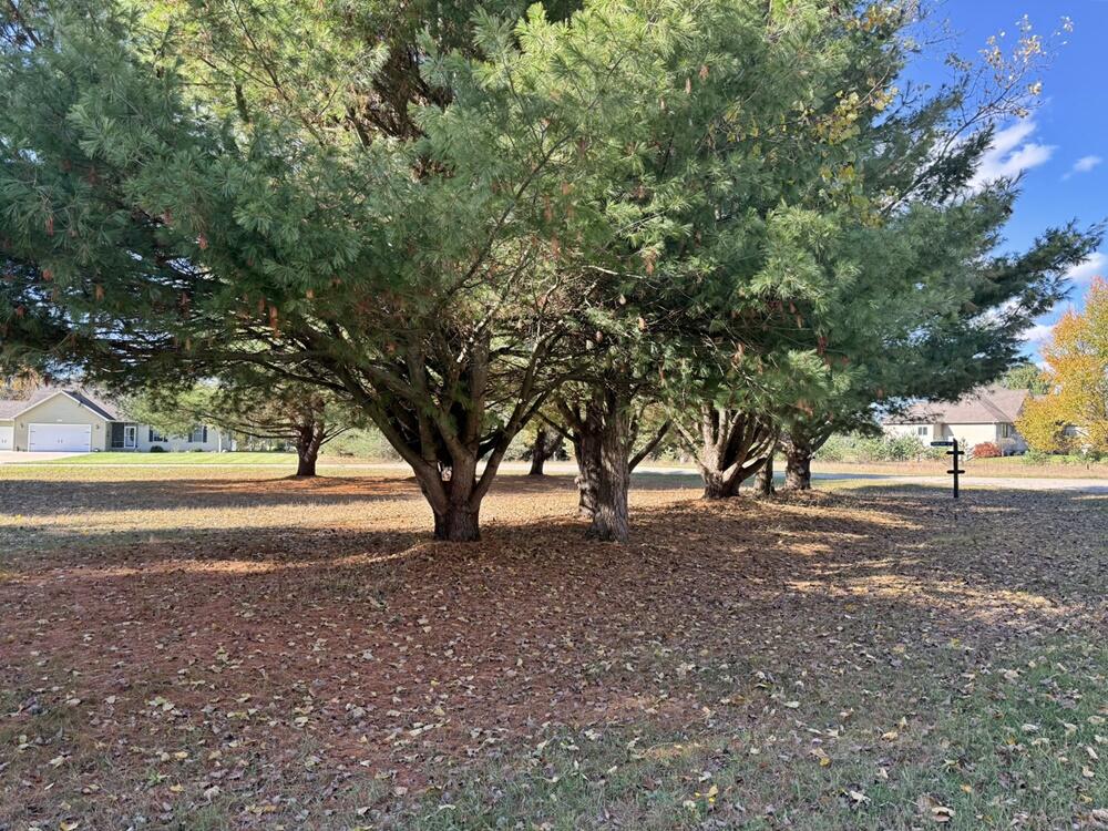 7600 Ryans Run Property Photo 20