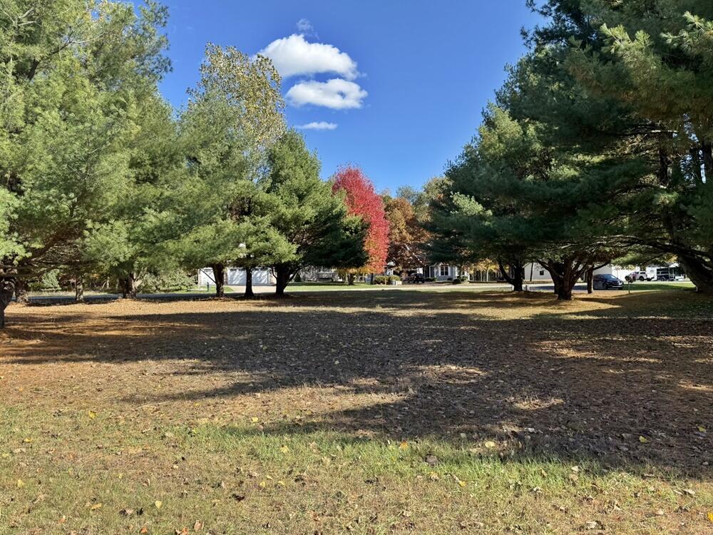 7600 Ryans Run Property Photo 21