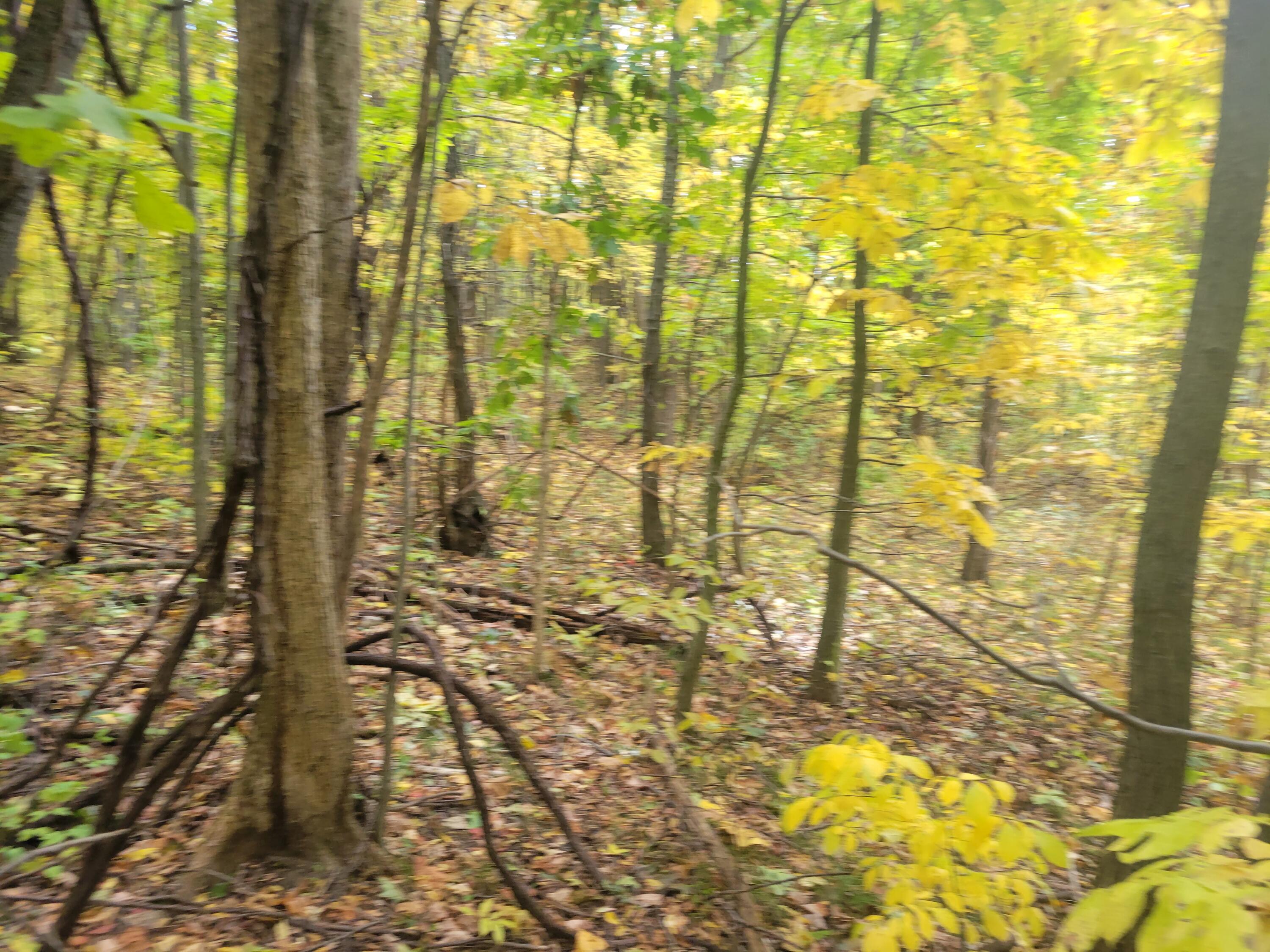 74066 Ridgeway Drive Property Photo 3