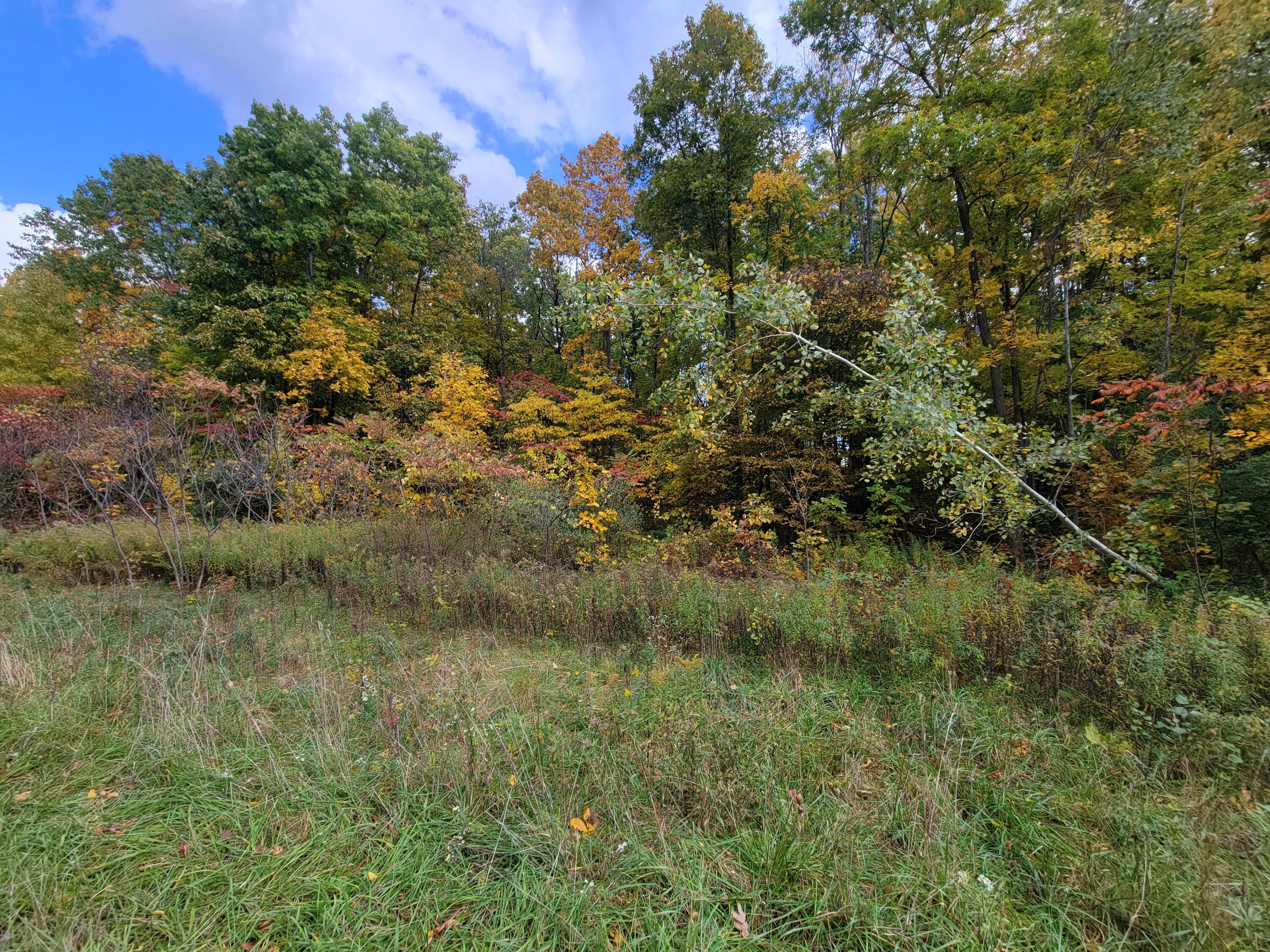 74066 Ridgeway Drive Property Photo 4