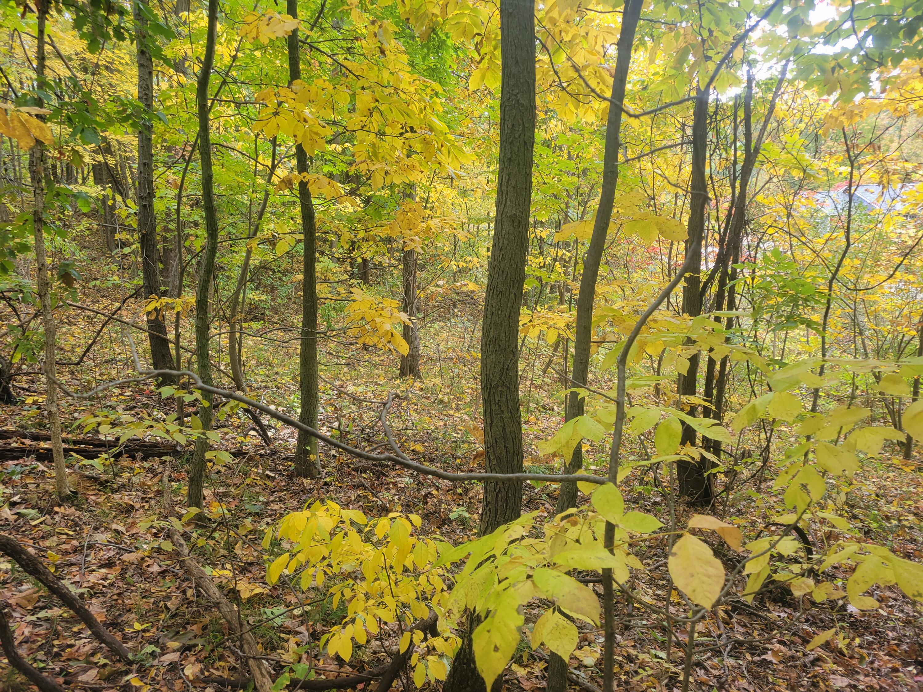 74032 Ridgeway Drive Property Photo 4