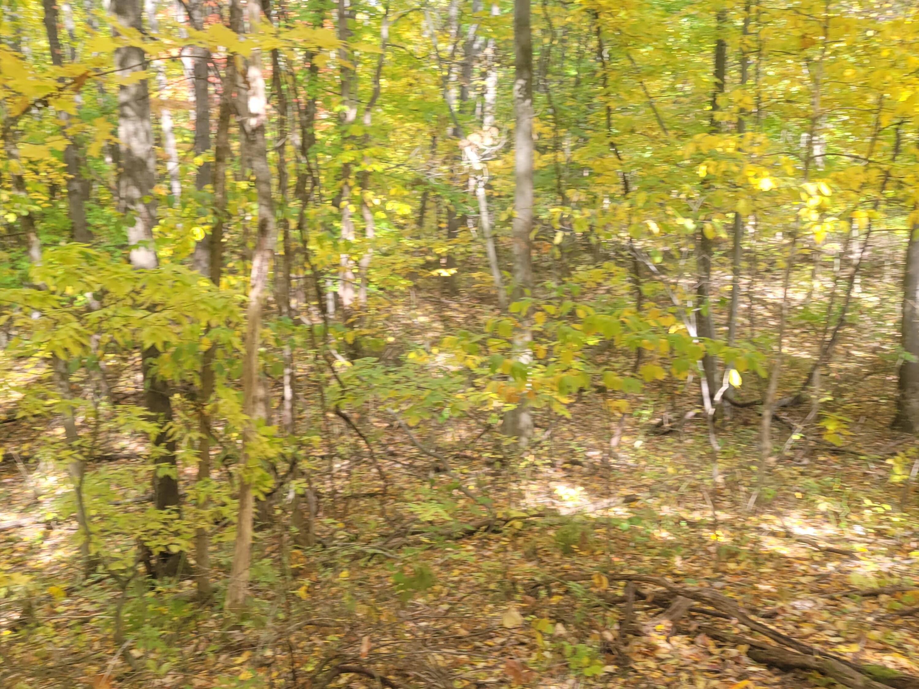 74032 Ridgeway Drive Property Photo 5