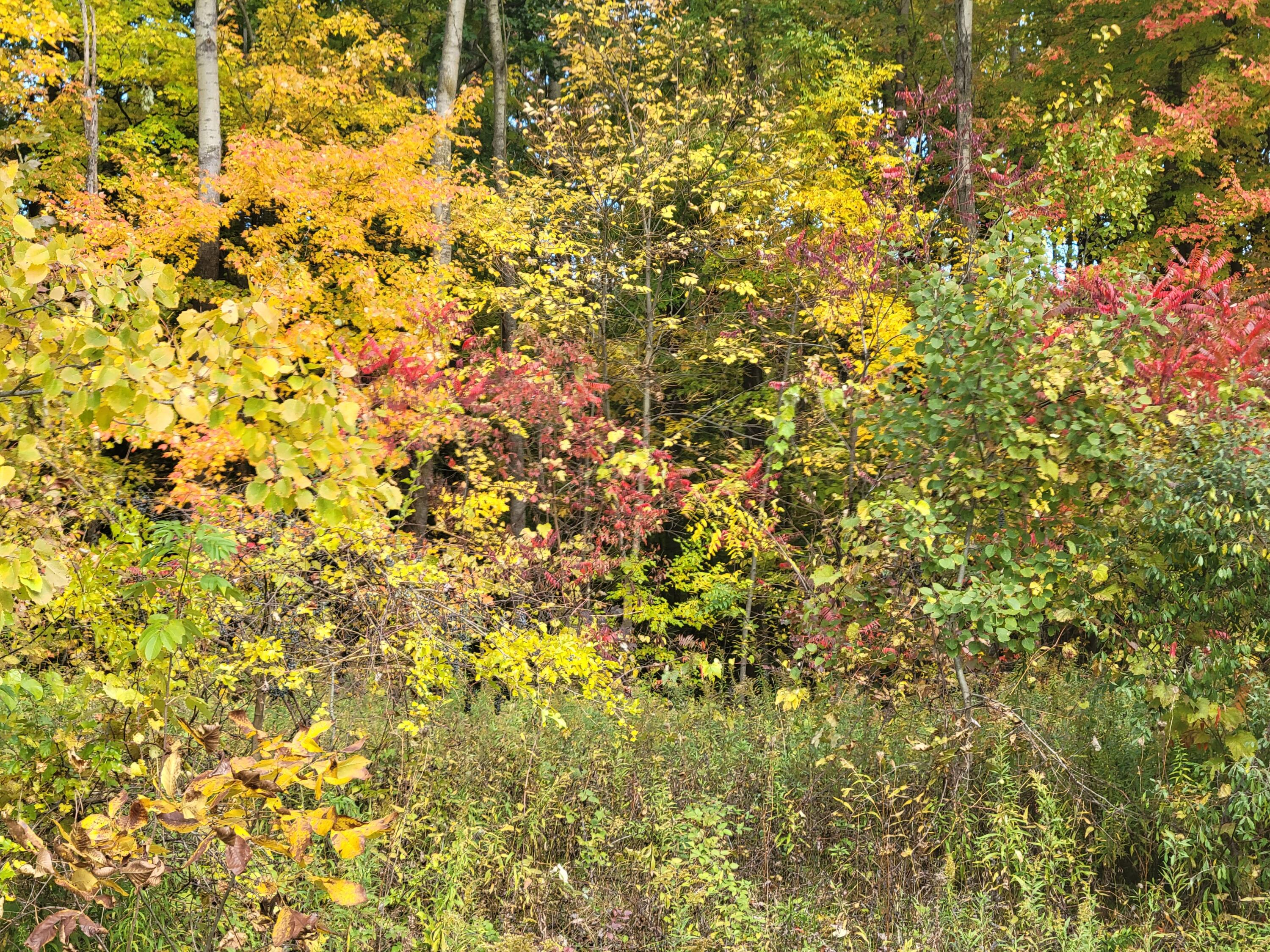 74032 Ridgeway Drive Property Photo 7