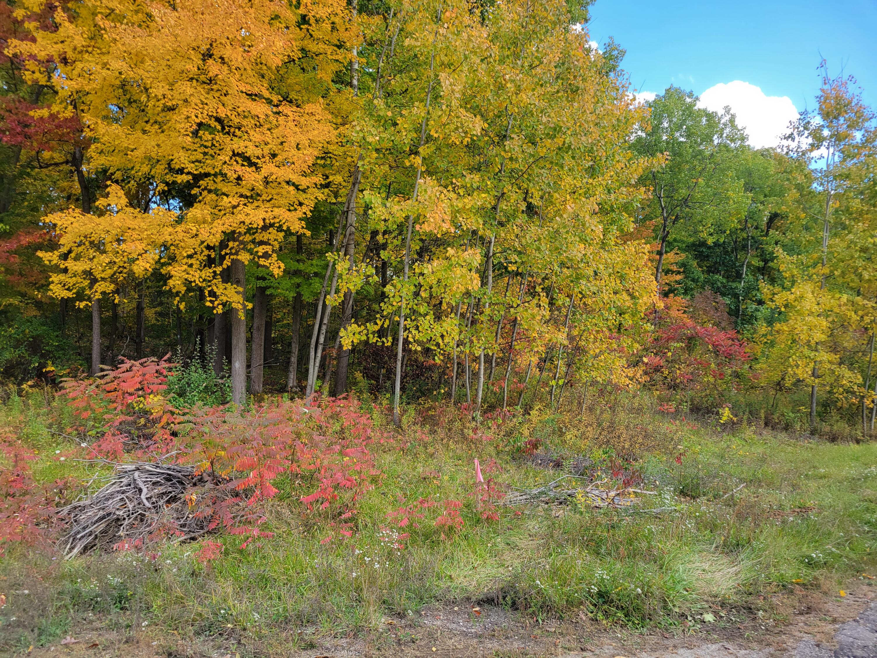 74016 Ridgeway Drive Property Photo 1
