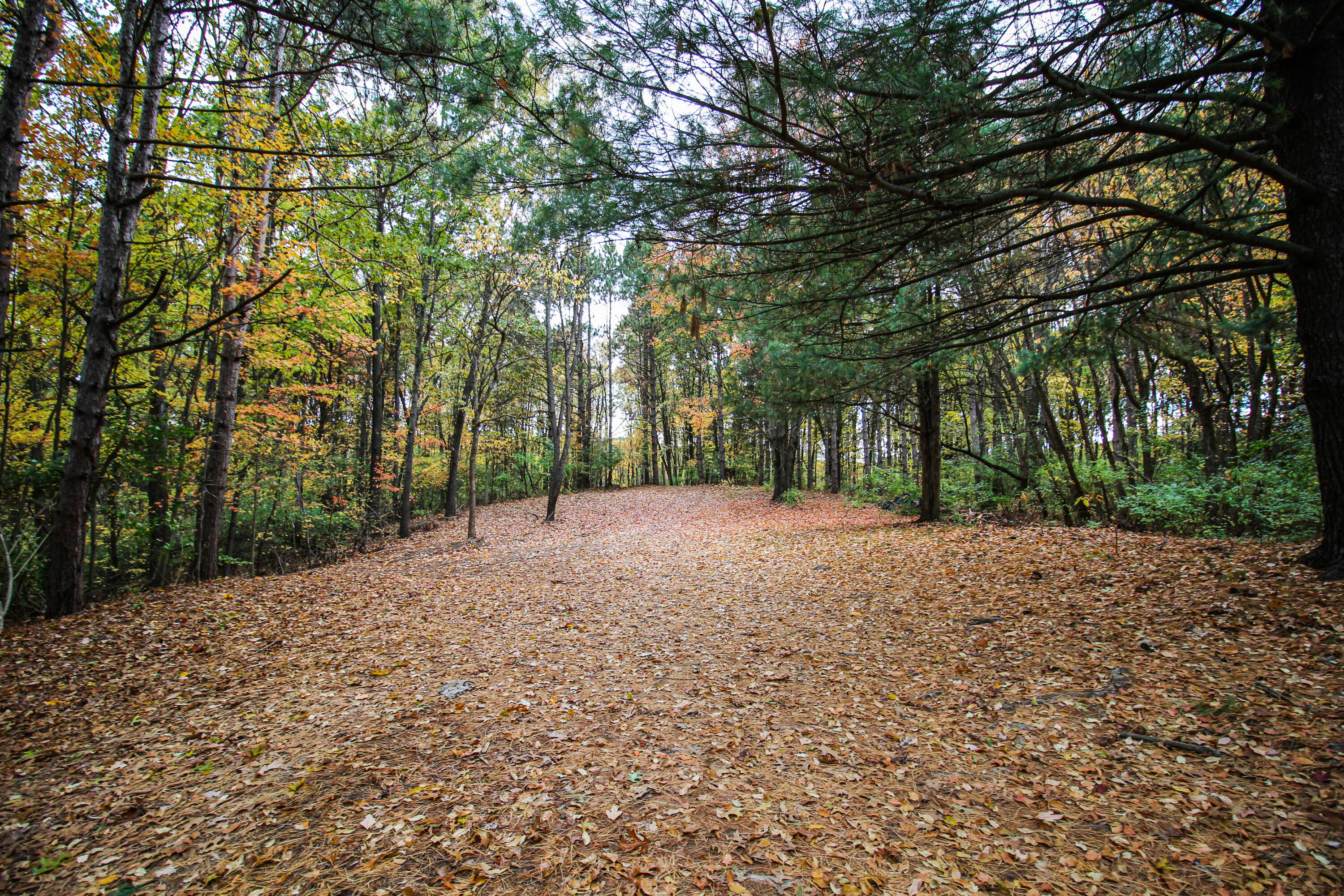 57926 Stoldt Road Property Photo 26