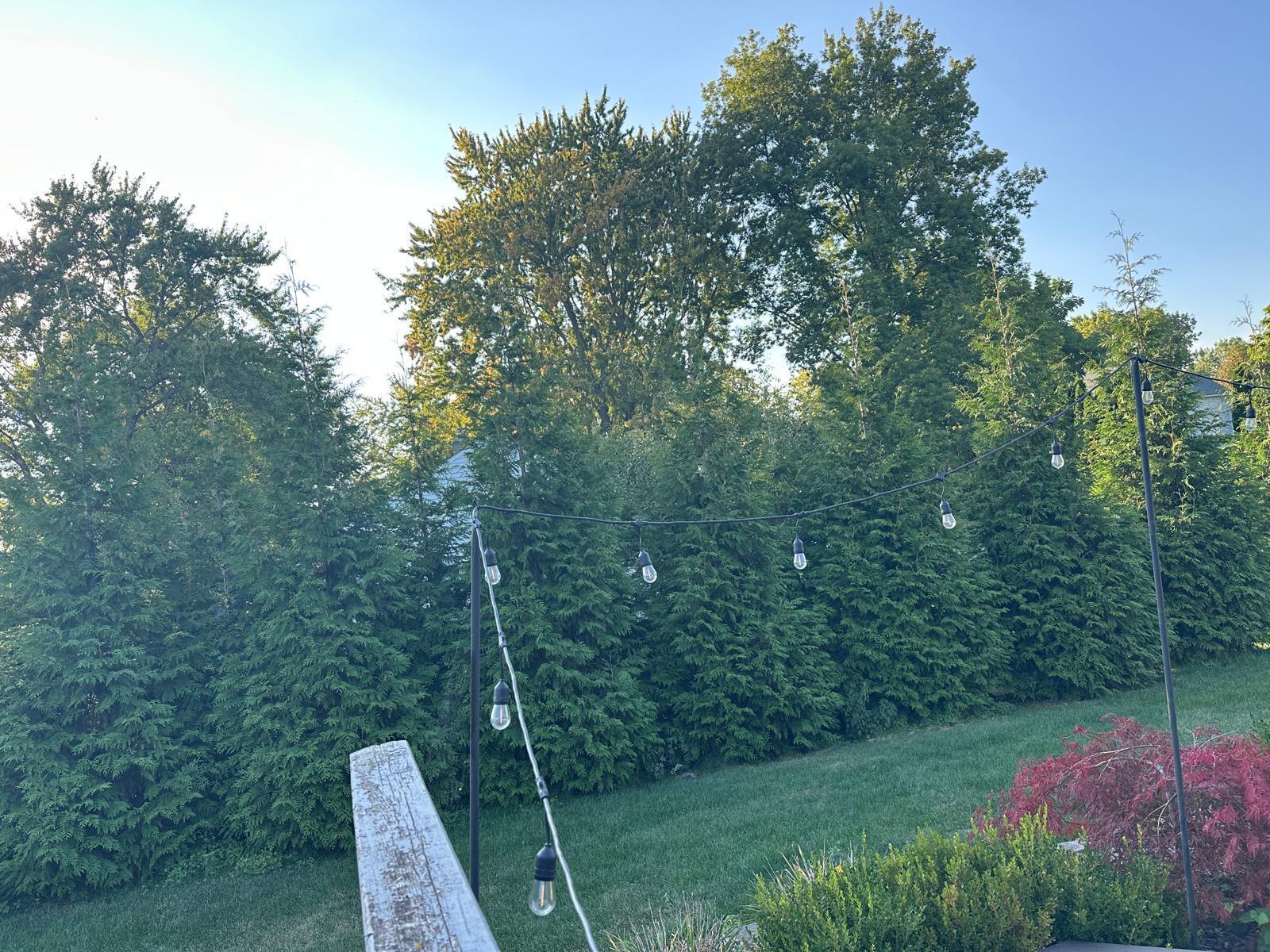 5017 Saffron Drive Property Photo 40