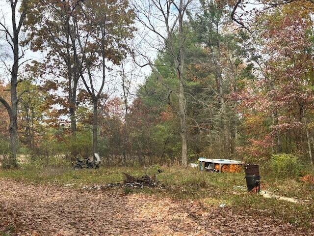 5912 W 96th Street Property Photo 5