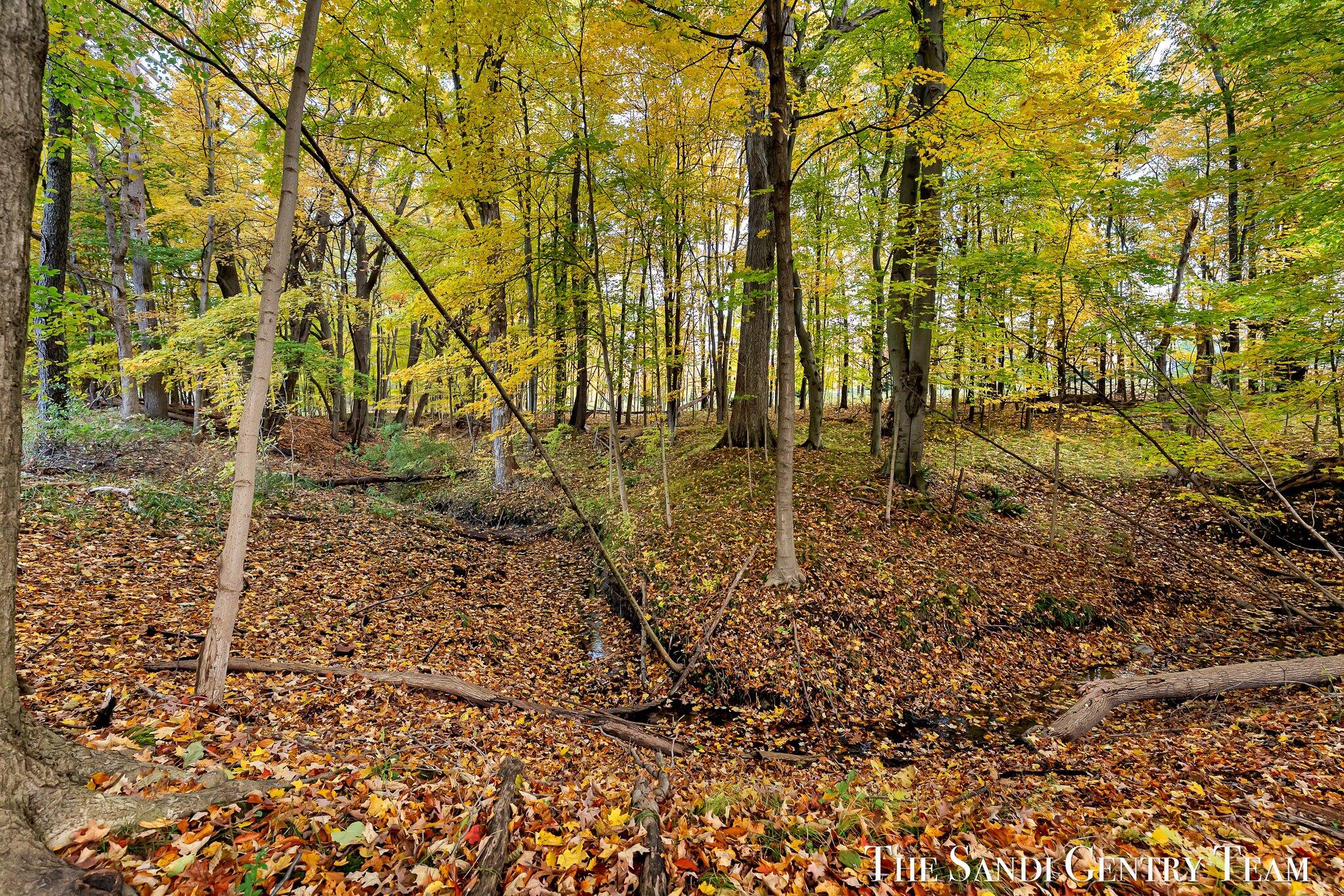 11394 24th Avenue Property Photo 54