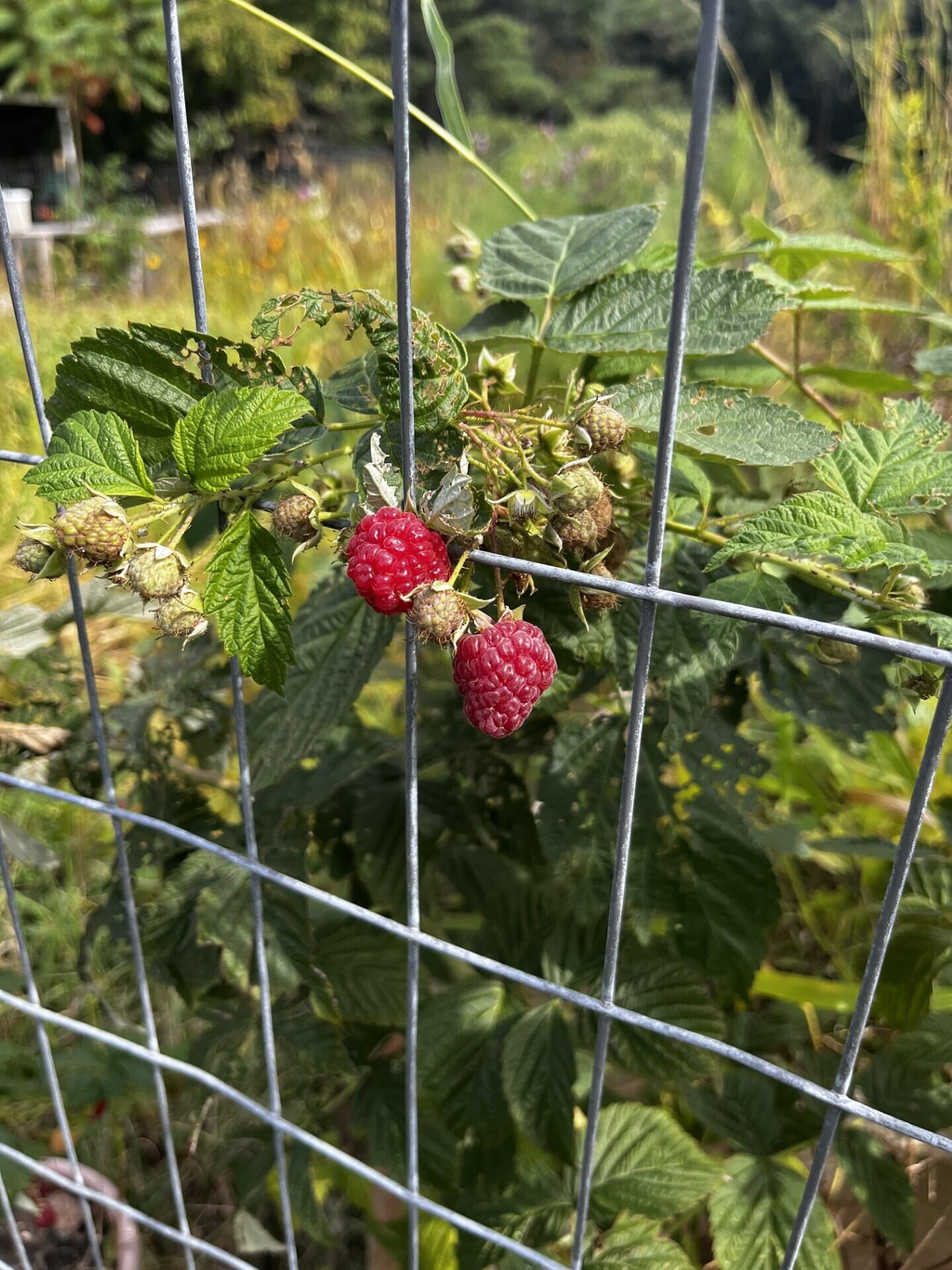 11394 24th Avenue Property Photo 55