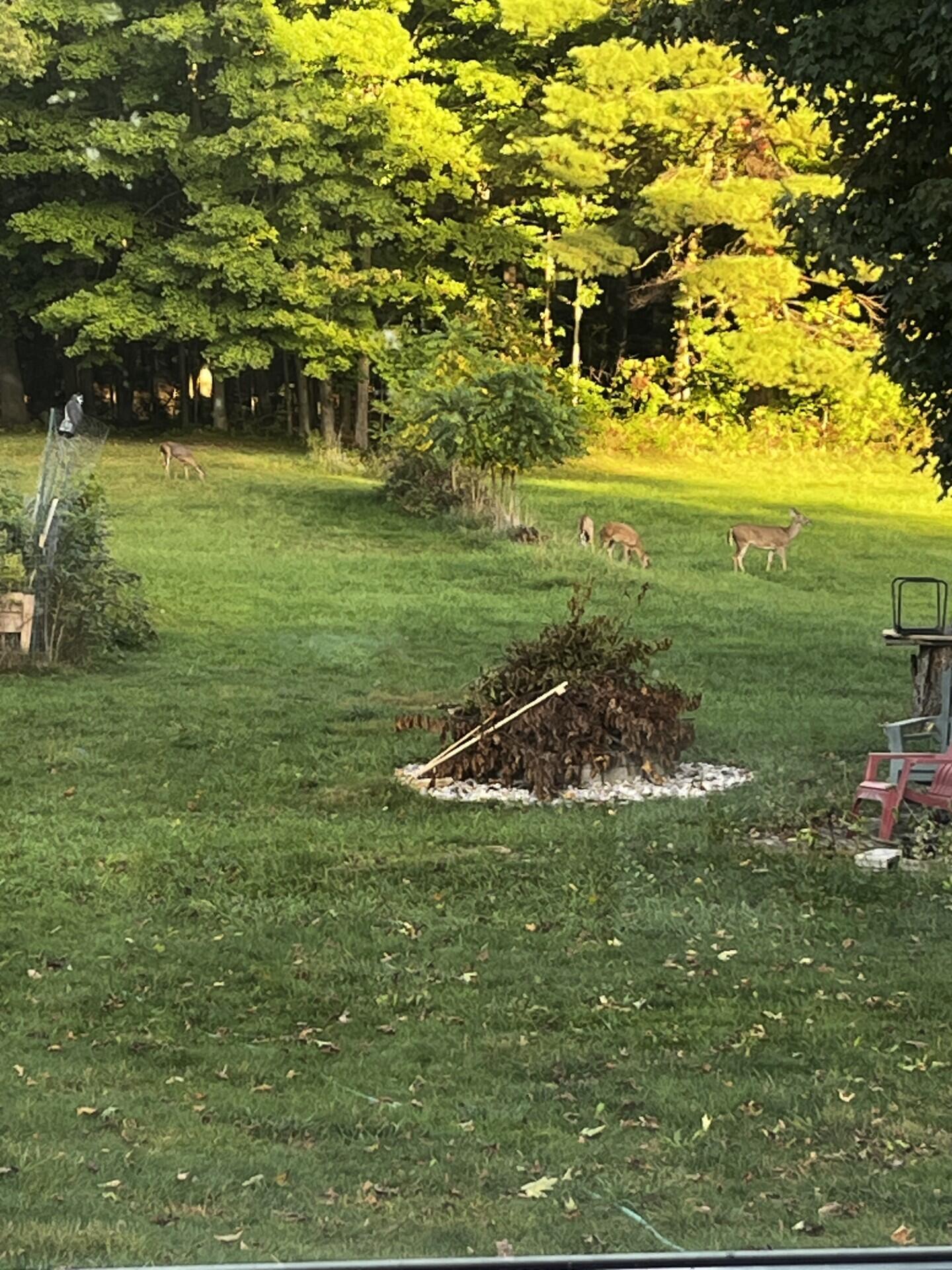 11394 24th Avenue Property Photo 56