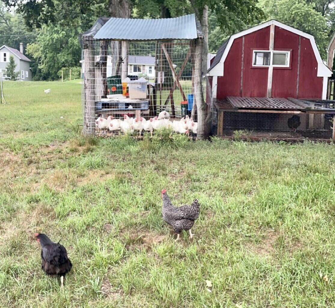 11394 24th Avenue Property Photo 57