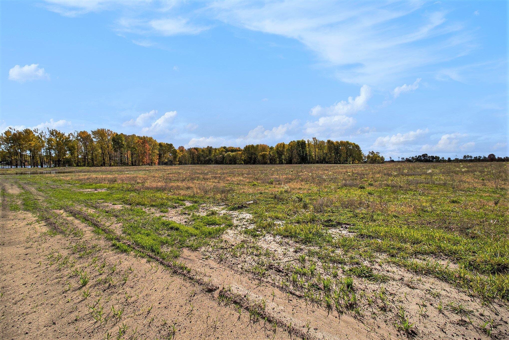 Lot I Hogenson Property Photo 18