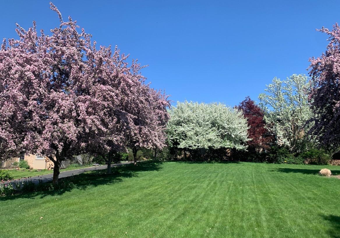 2794 Waling Woods Drive Property Photo 45