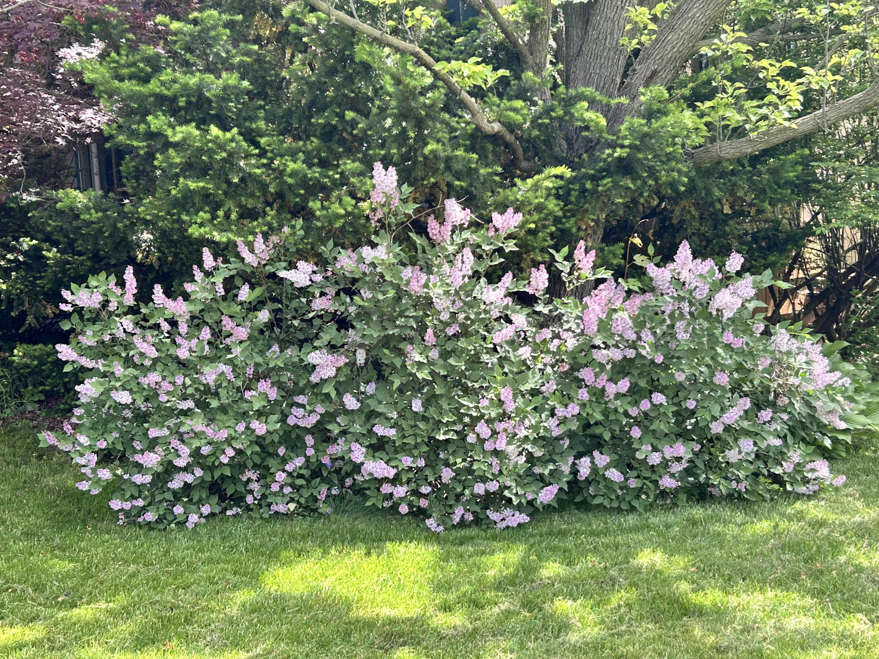 2794 Waling Woods Drive Property Photo 46