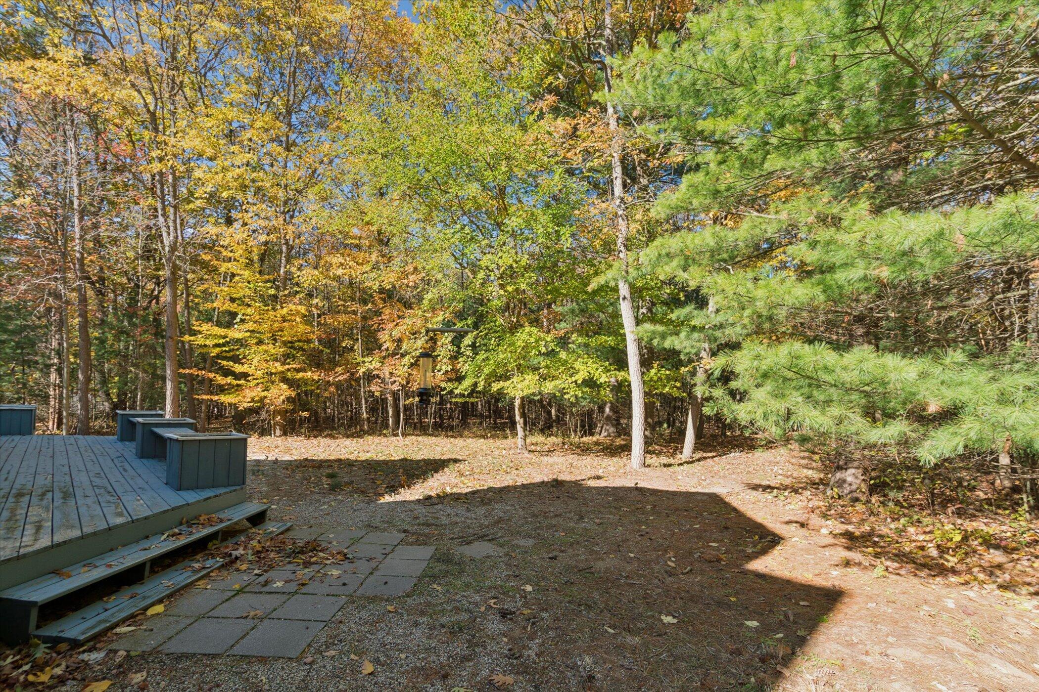 2335 Forest Trail Circle Property Photo 37
