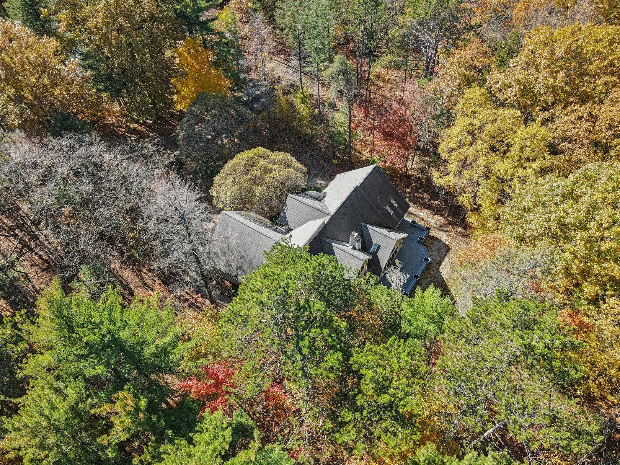 2335 Forest Trail Circle Property Photo 45