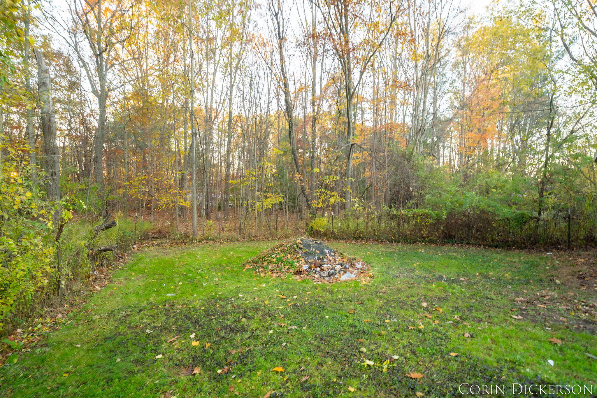 69429 M 43 Highway Property Photo 32