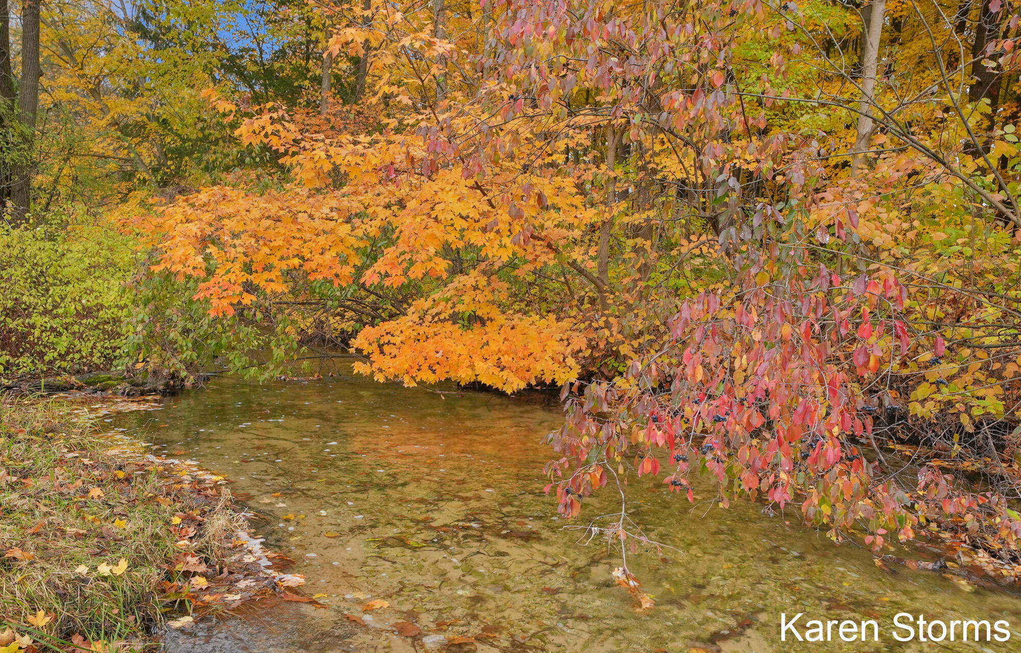 11645 Water Street Property Photo 32