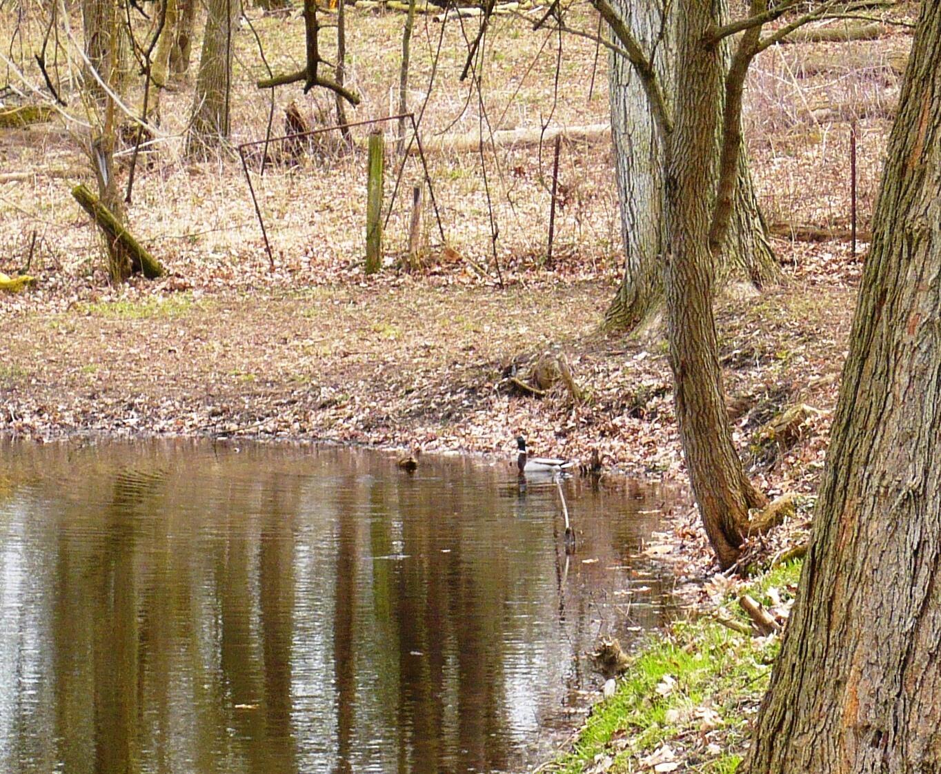 273 Raymond Drive Property Photo 7