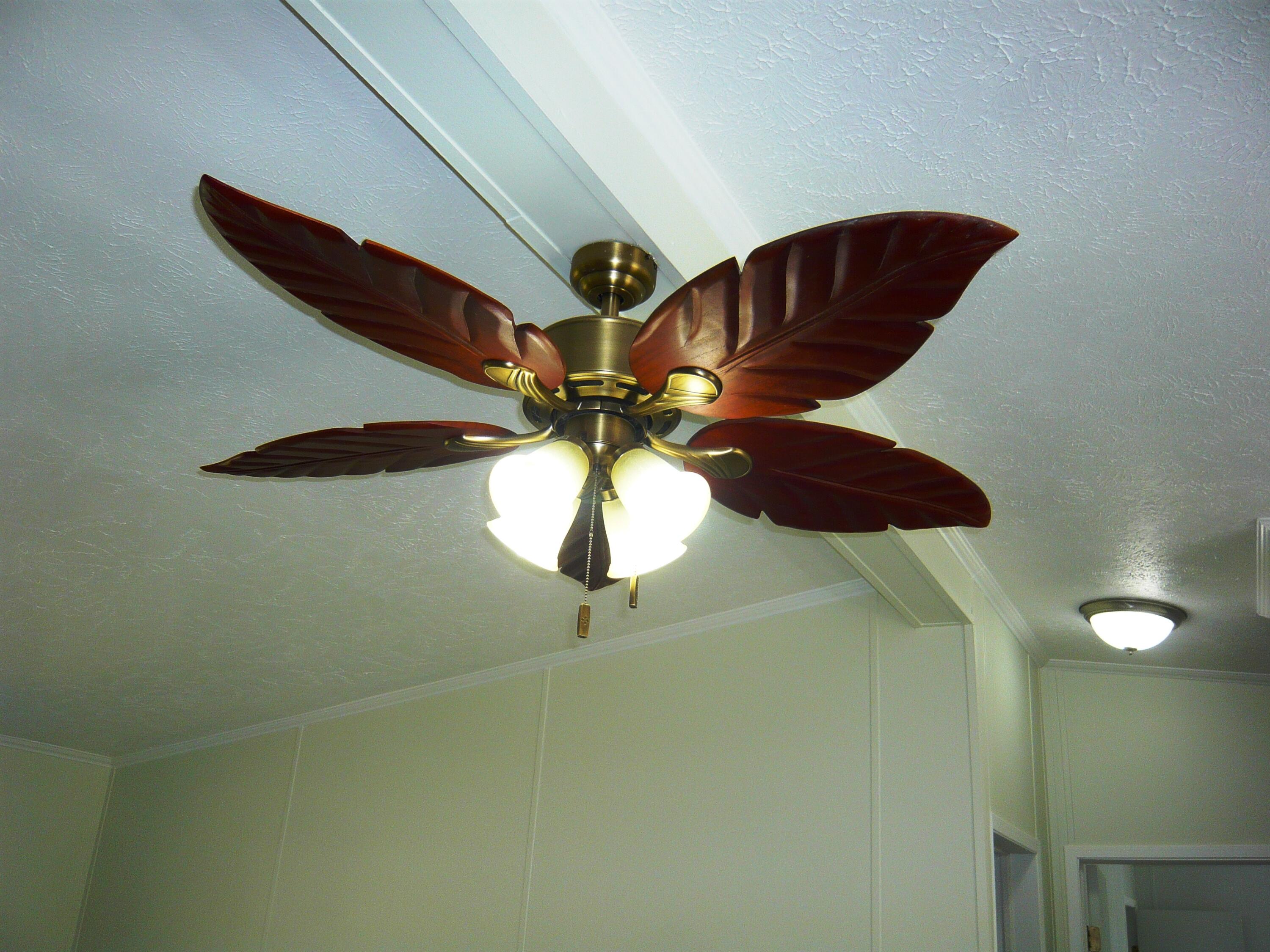 273 Raymond Drive Property Photo 38