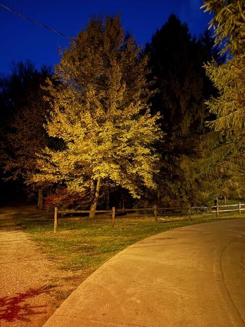 4327 Pier Road Property Photo 9