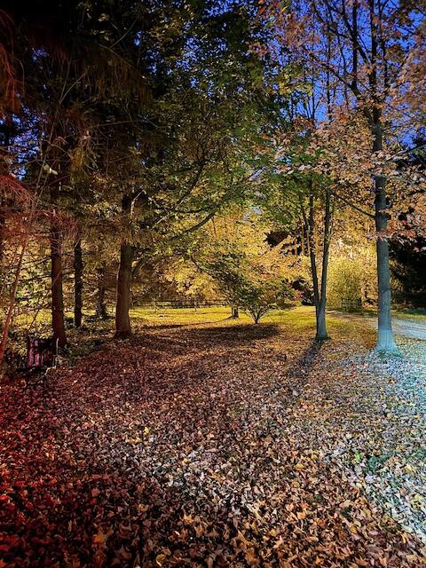 4327 Pier Road Property Photo 25