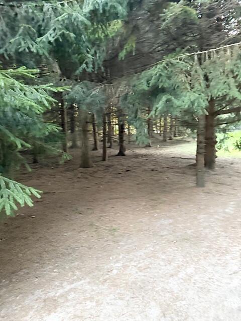 4327 Pier Road Property Photo 26