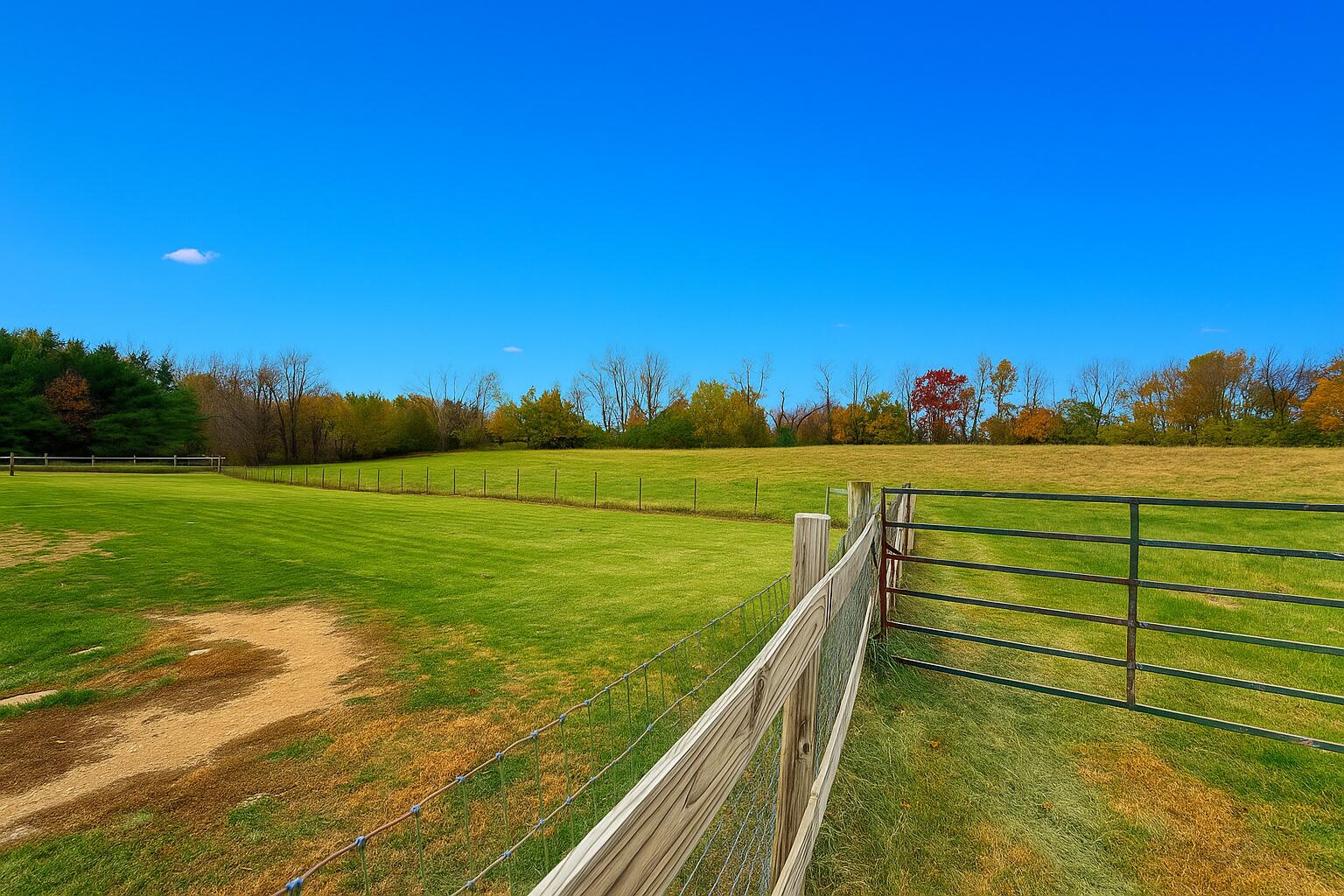 4314 W Hickory Road Property Photo 5