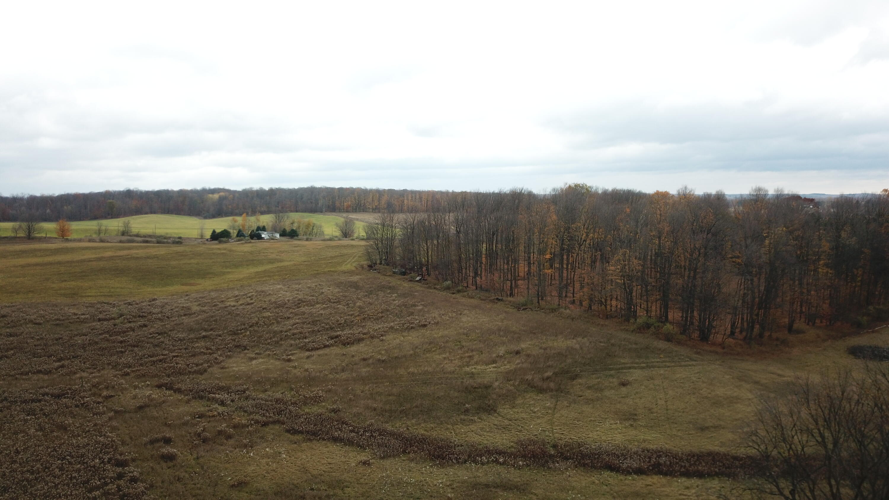 14220 N Beech Avenue Property Photo 11