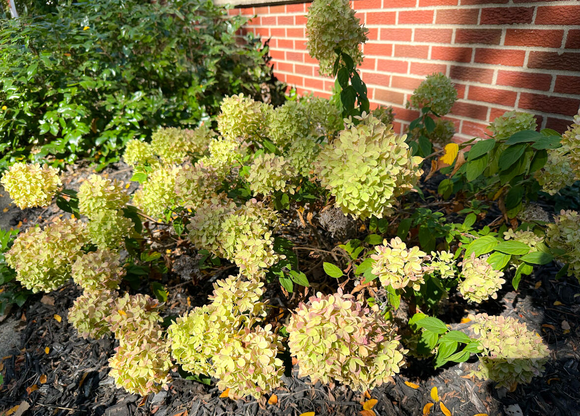 32950 Perth Street Property Photo 21