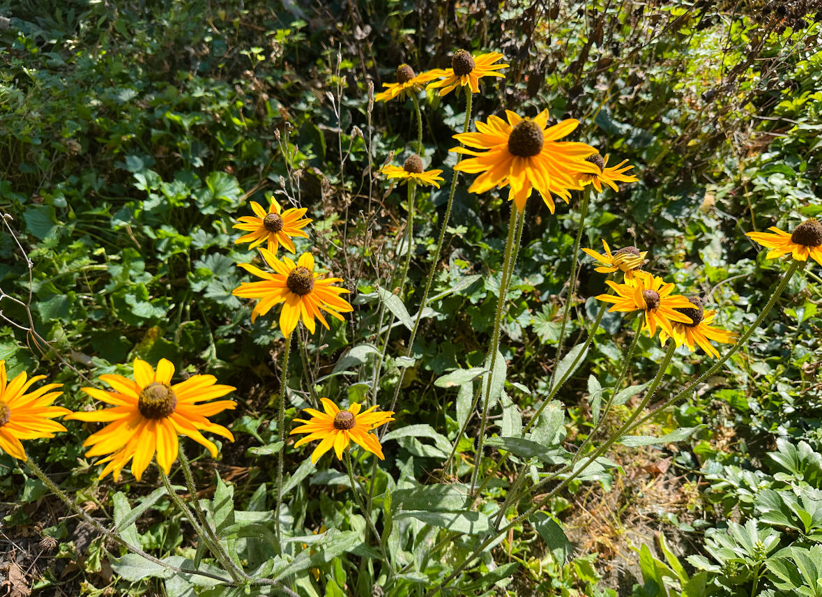 32950 Perth Street Property Photo 22