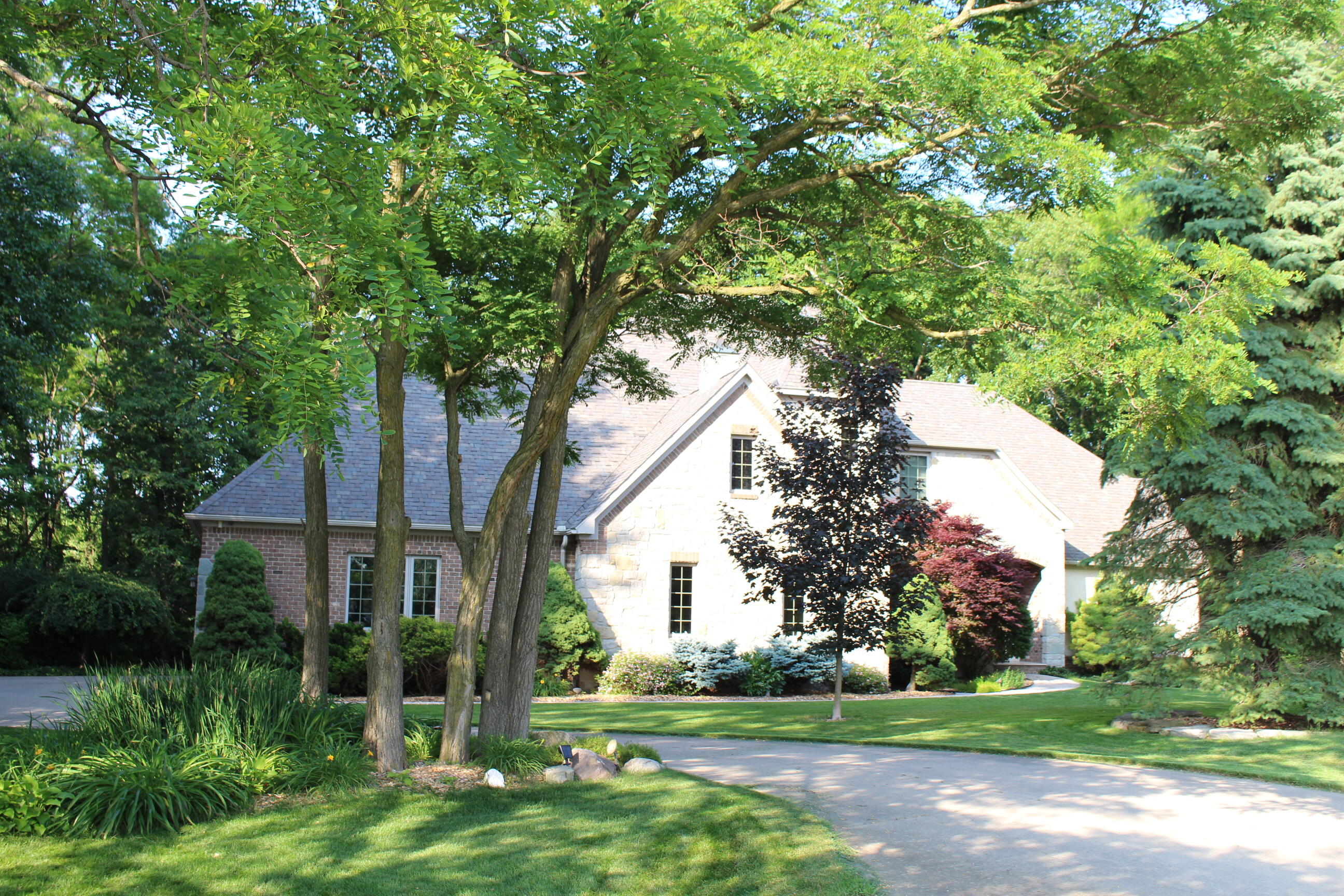 60 Timber Ridge Court Property Photo 2