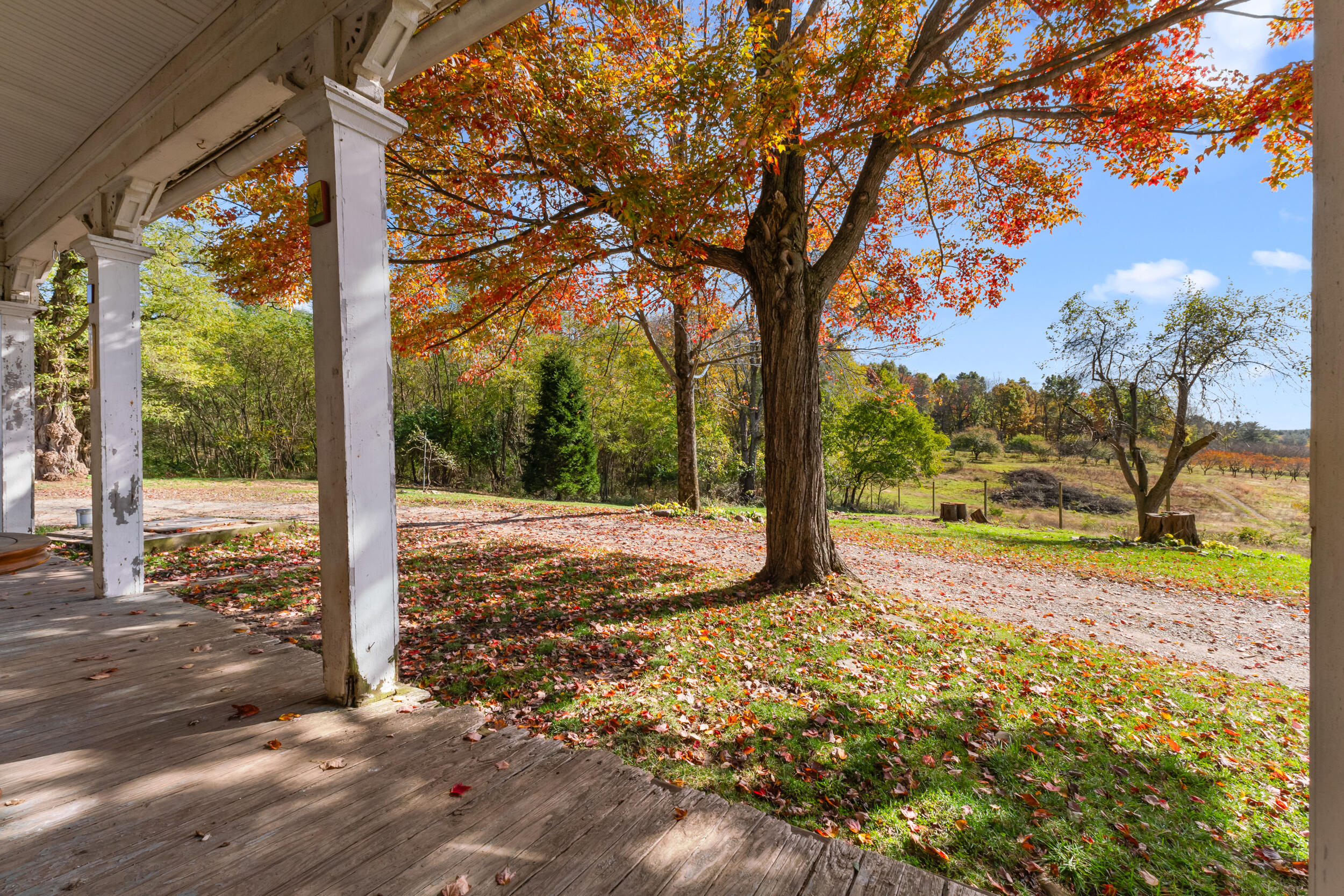 4680 Fitzpatrick Road Property Photo 6