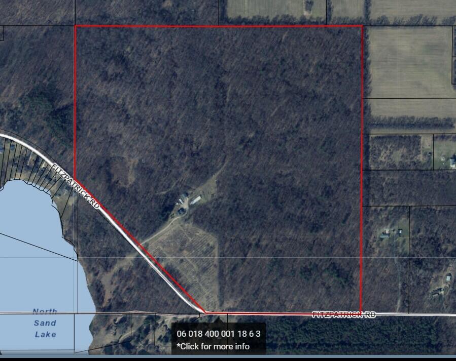4680 Fitzpatrick Road Property Photo 15