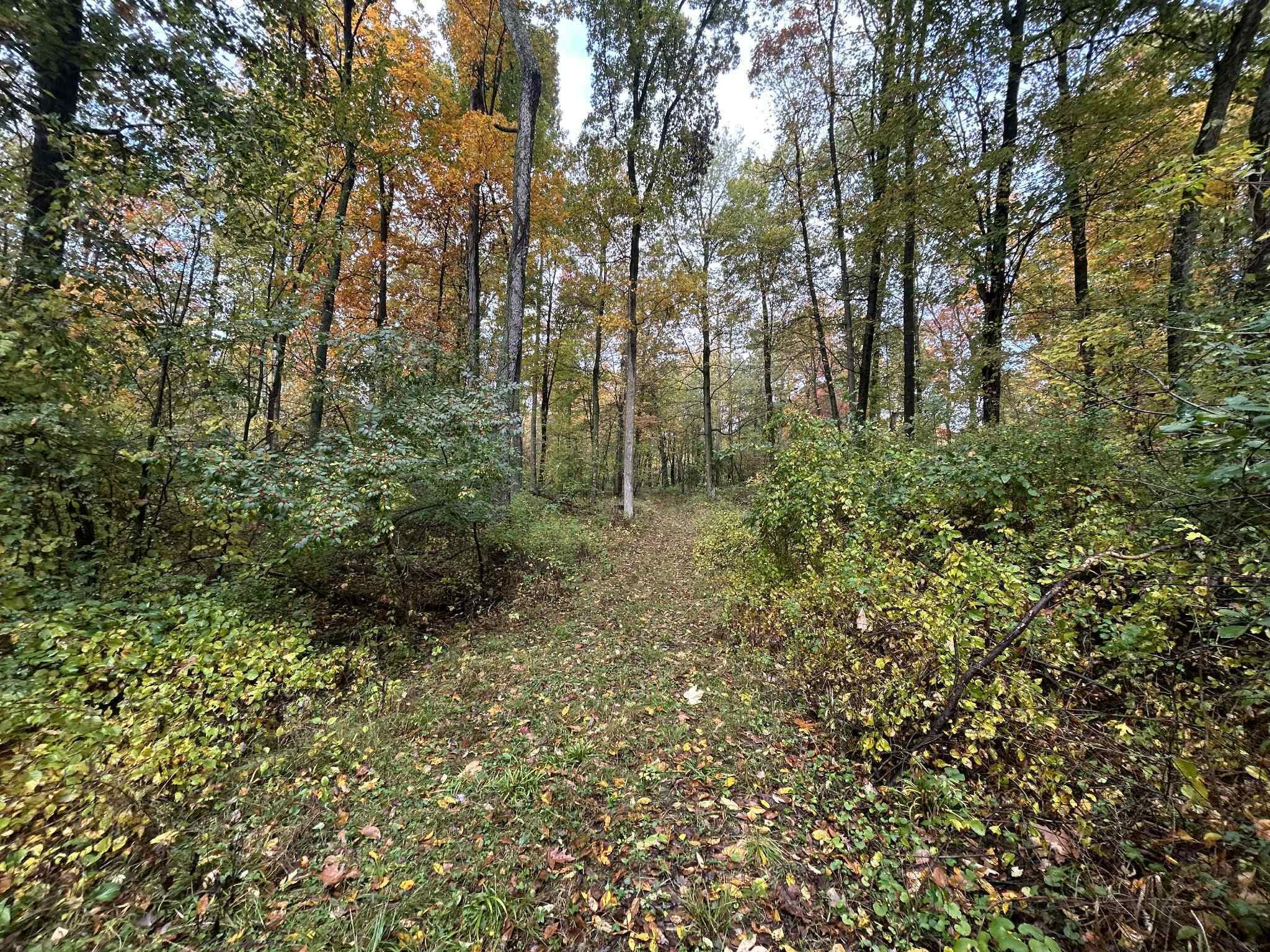 4680 Fitzpatrick Road Property Photo 69