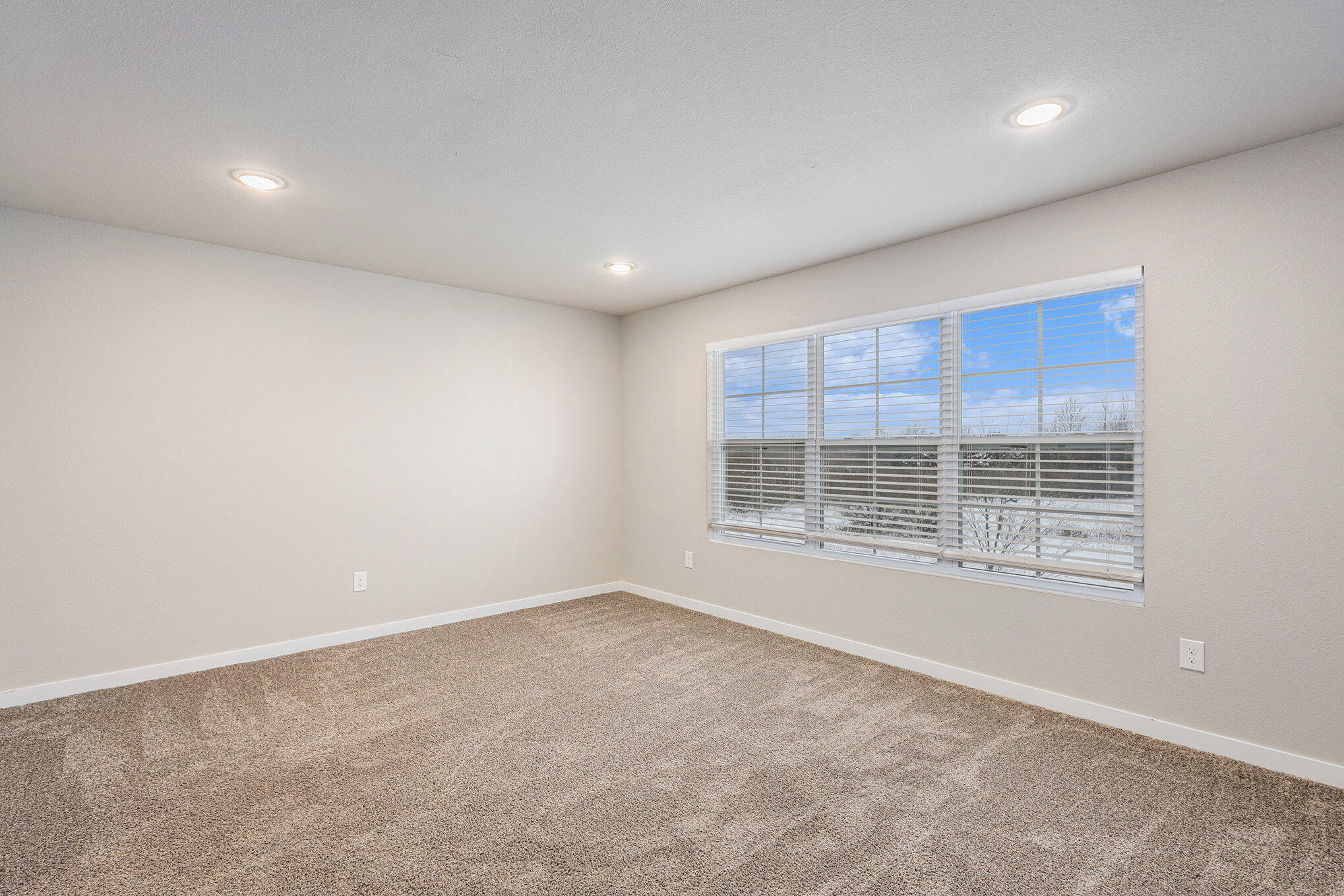 834 Winchester Street Property Photo 10